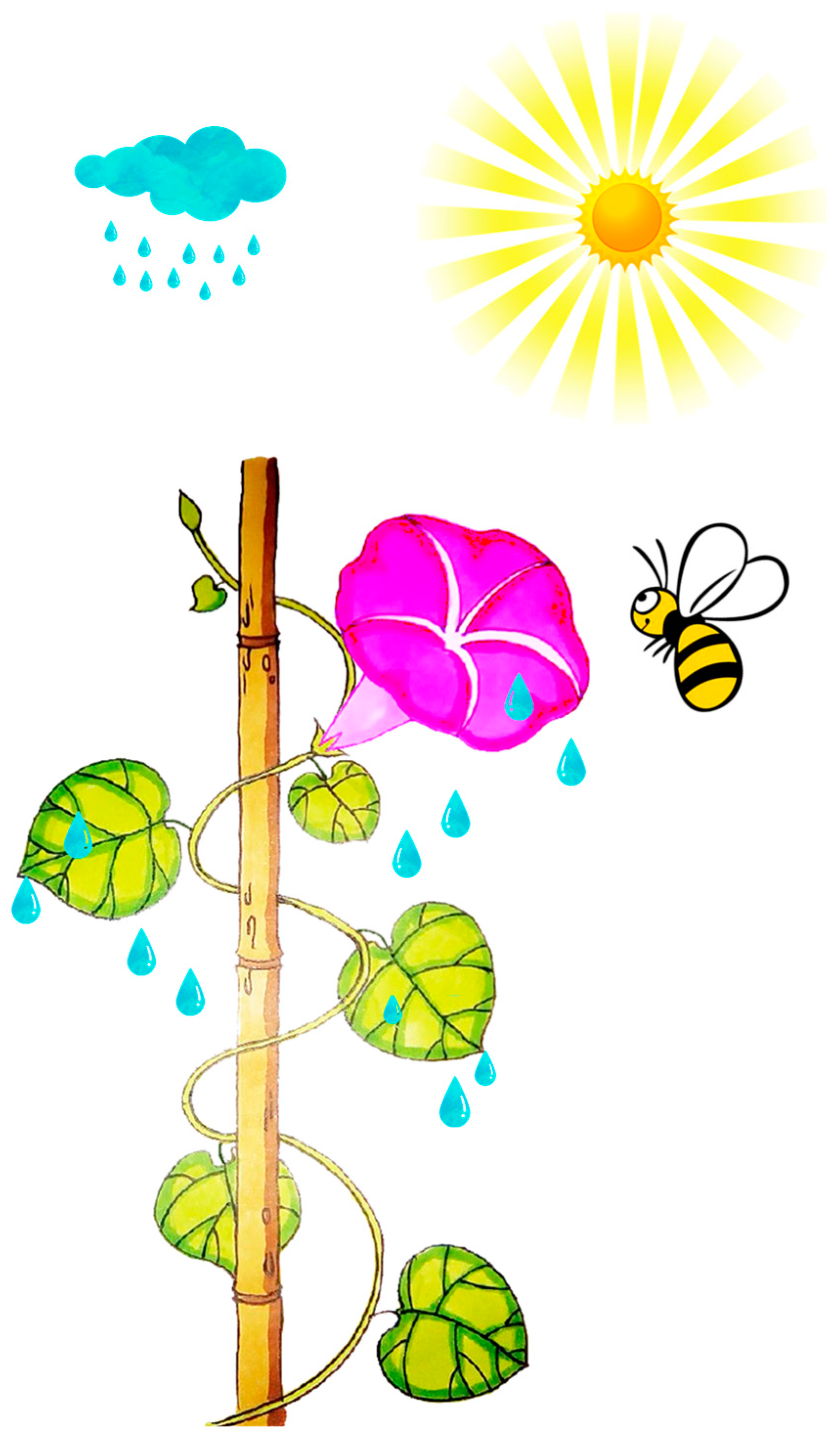 Plants 14 00862 g009 Plants 14 00862 g009