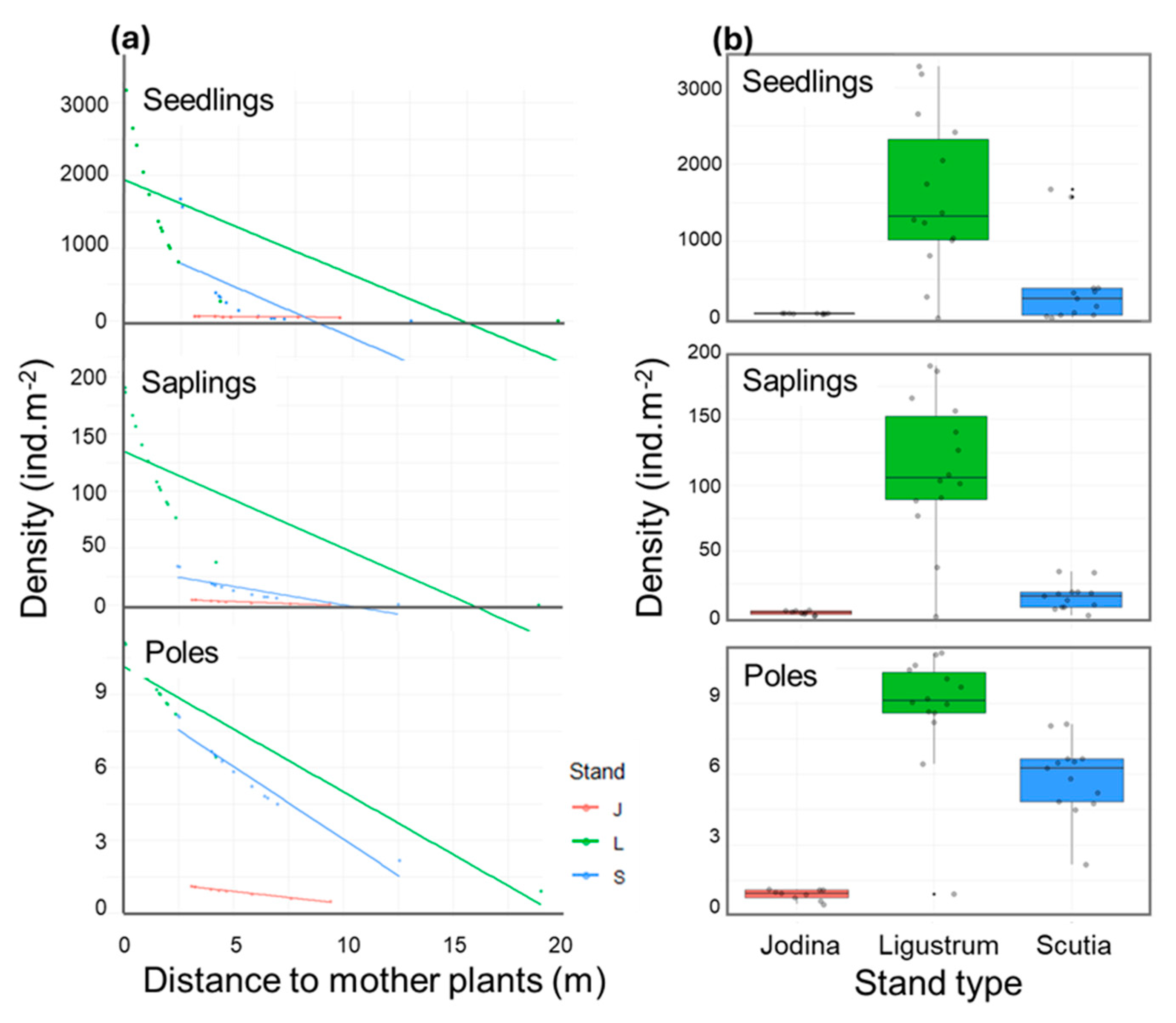 Plants 14 00873 g004