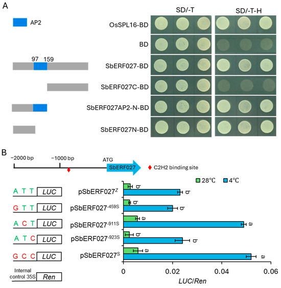 Transcriptome Analysis Reveals the Pivotal Genes and Regulation