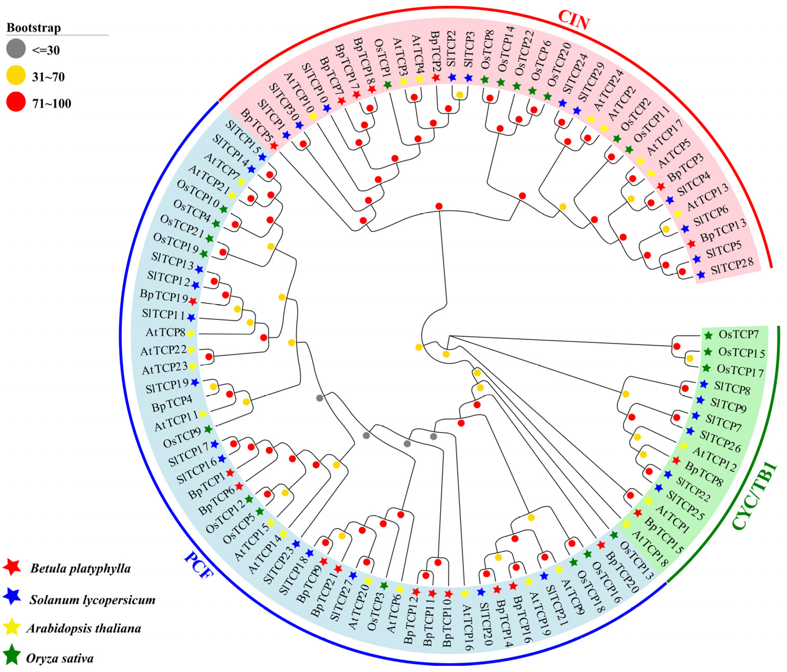 Plants 14 00880 g001