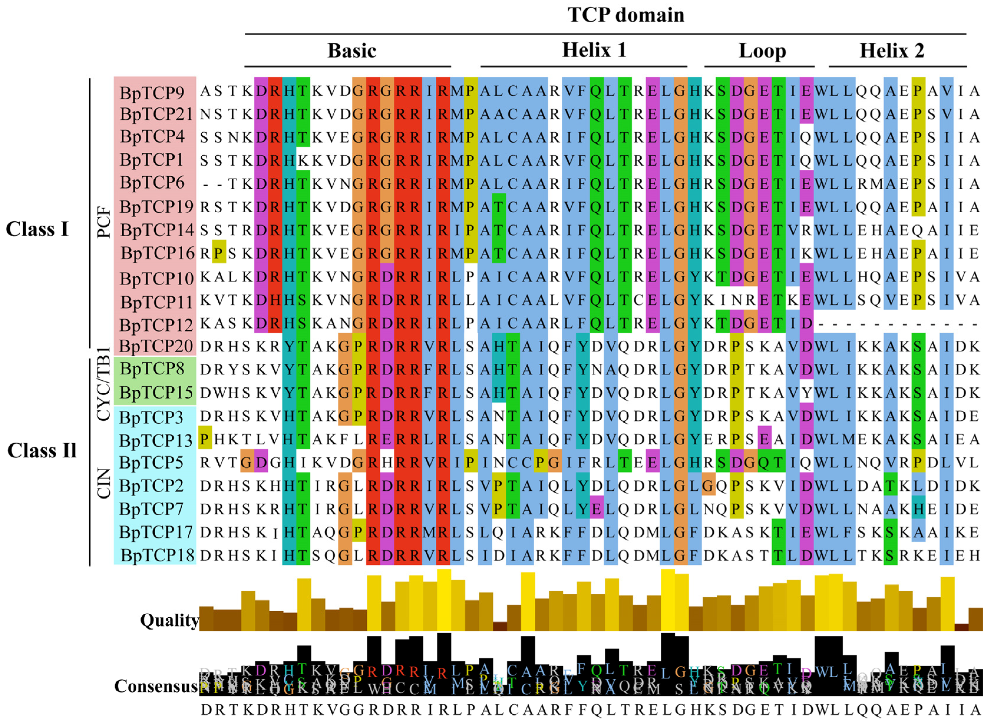 Plants 14 00880 g003