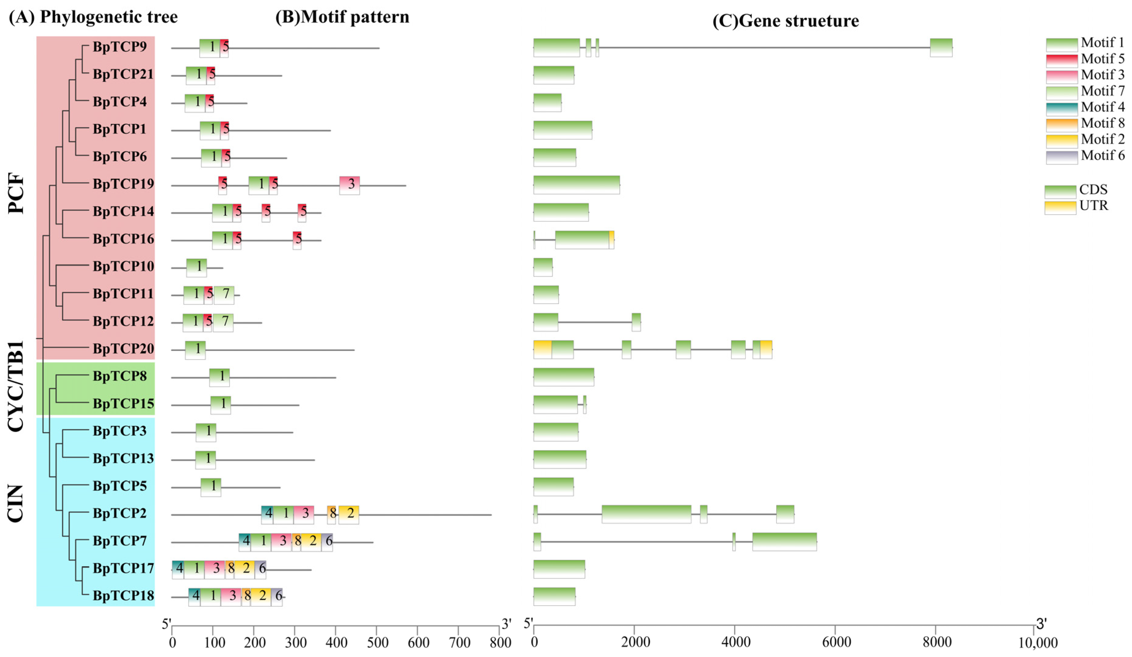 Plants 14 00880 g004