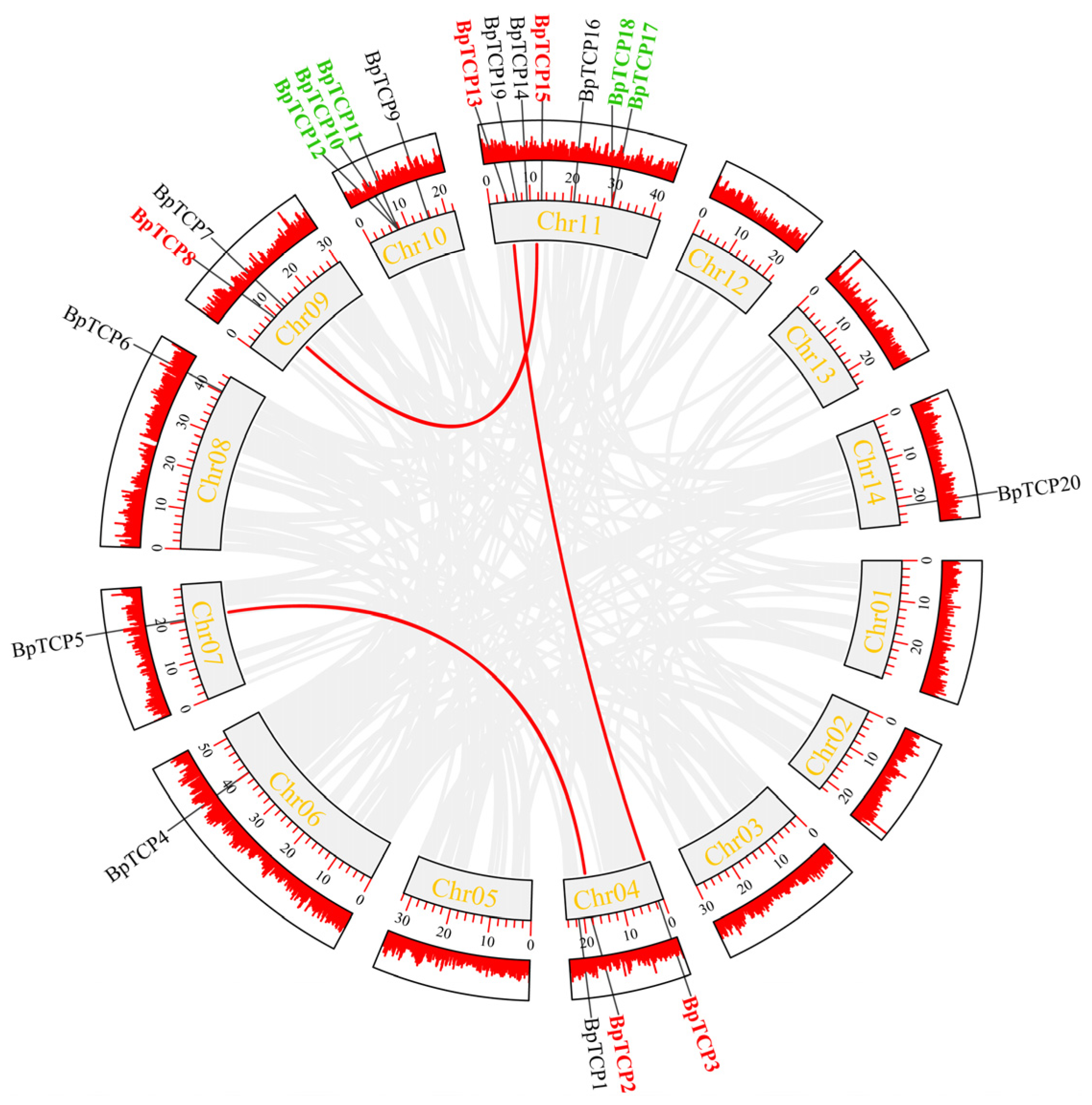 Plants 14 00880 g006