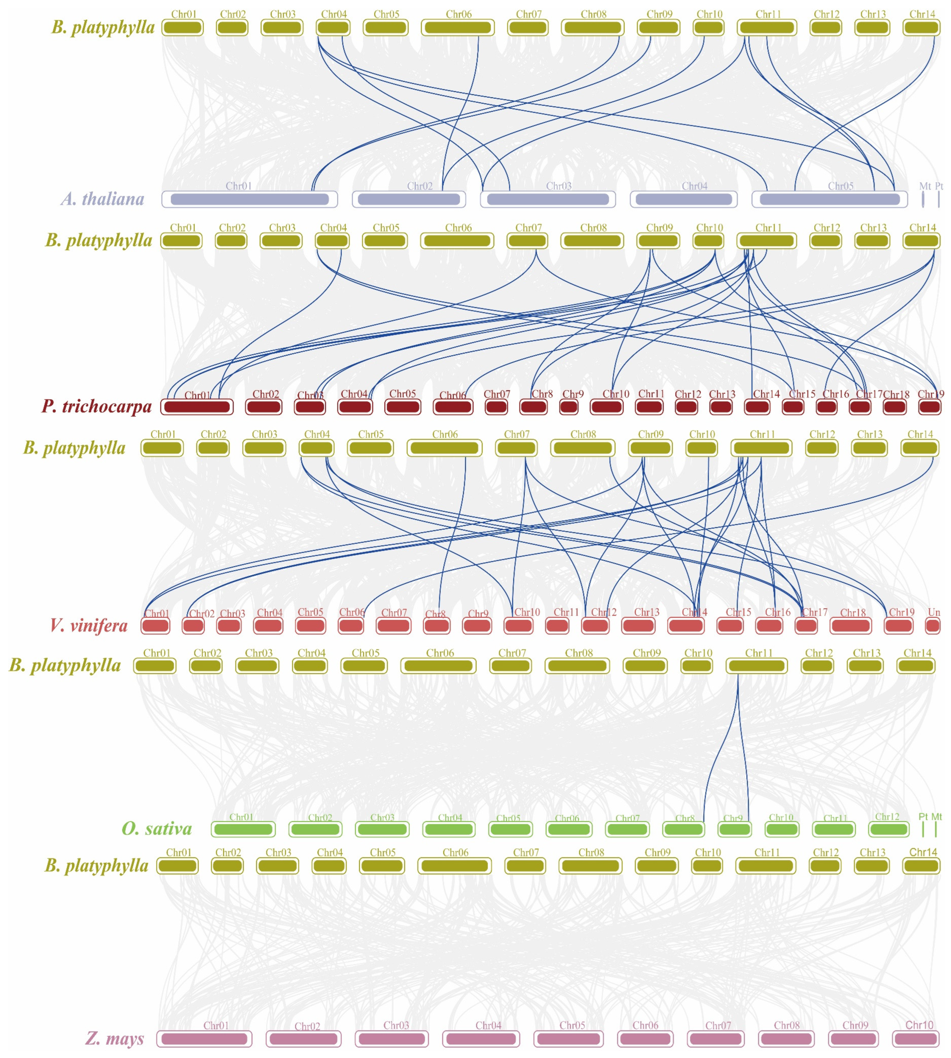 Plants 14 00880 g007