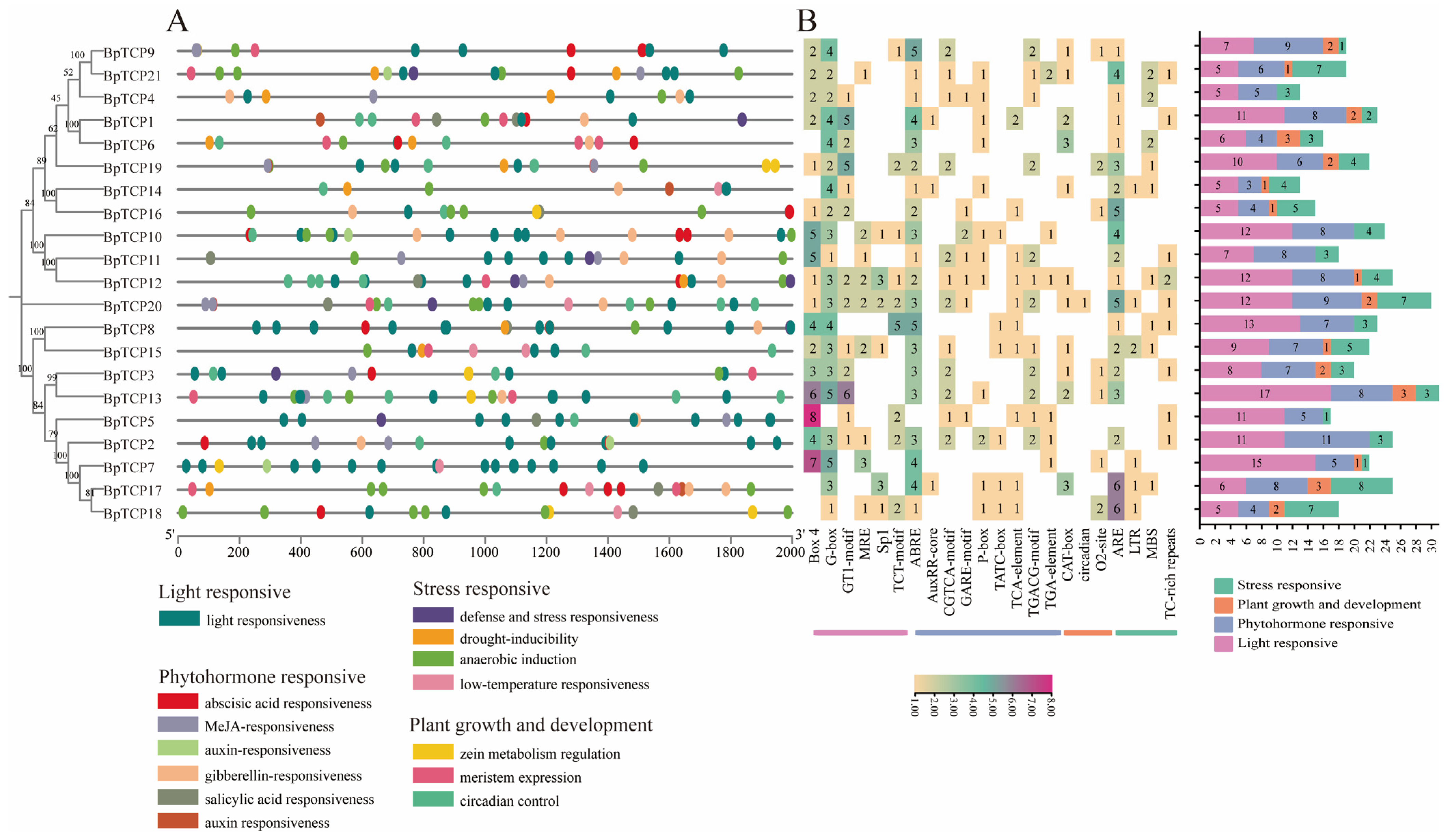 Plants 14 00880 g008
