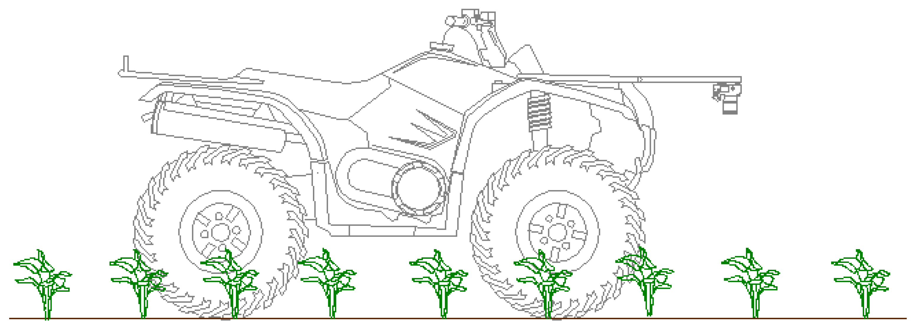 Plants 14 00881 g001