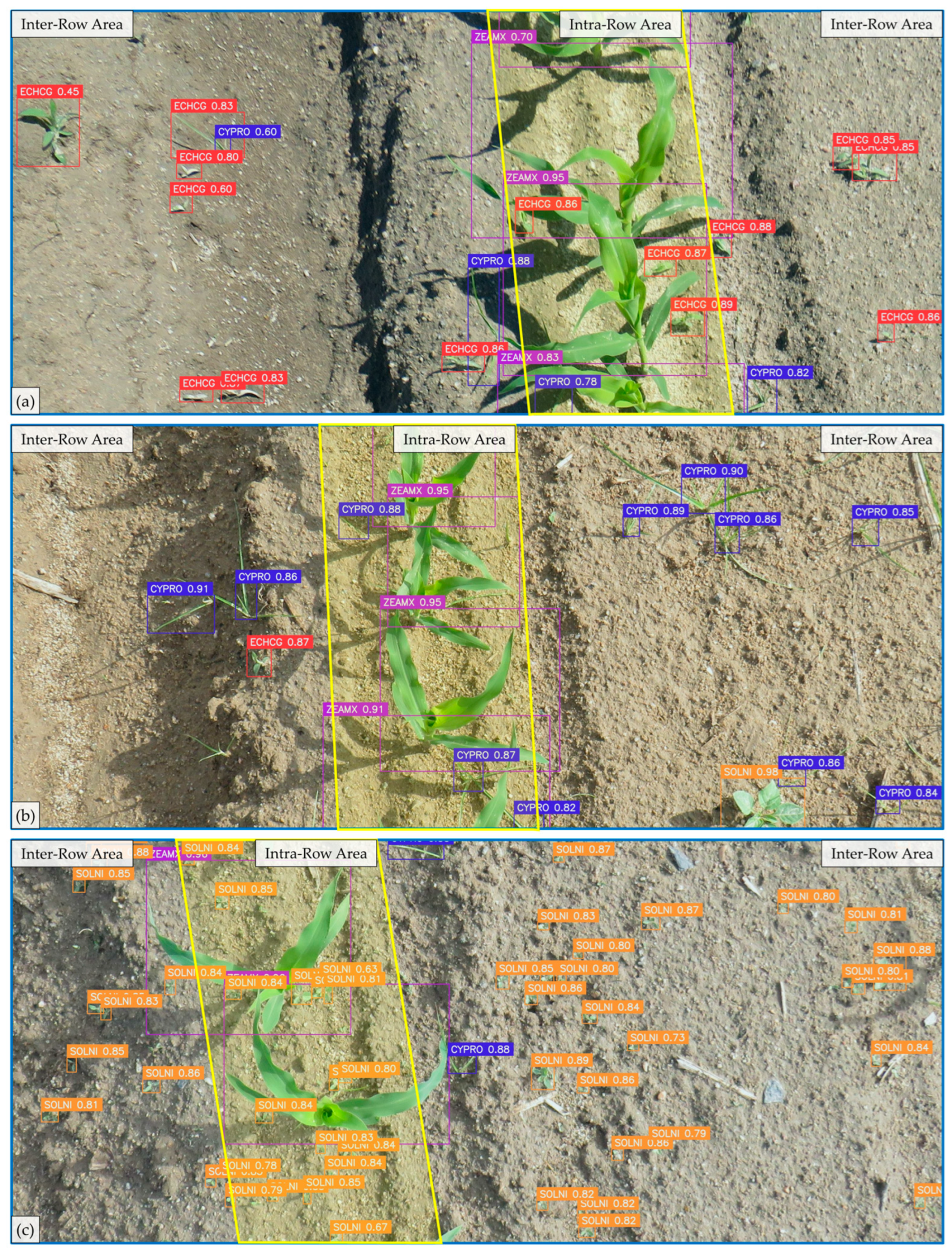 Plants 14 00881 g009