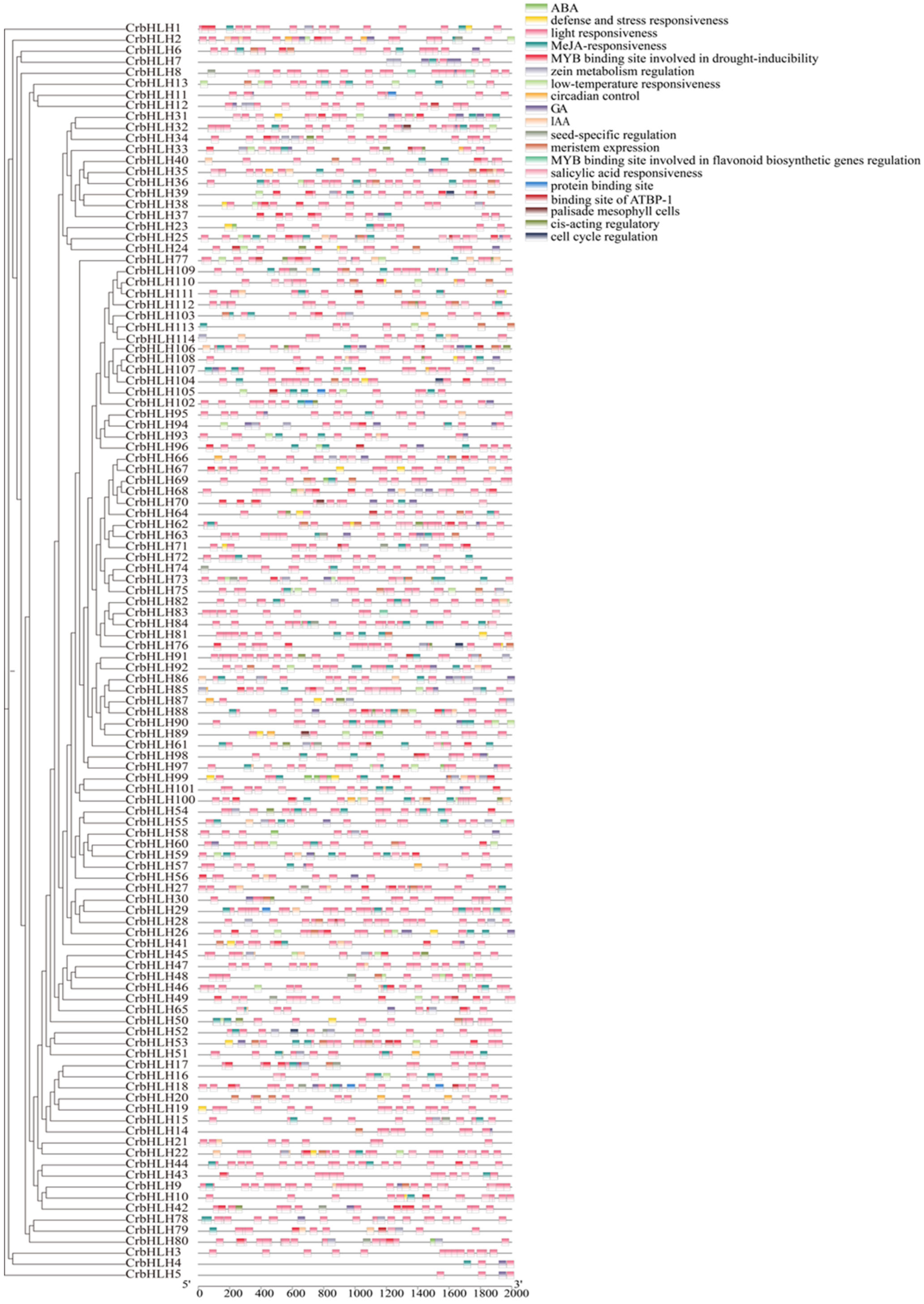 Plants 14 00882 g003