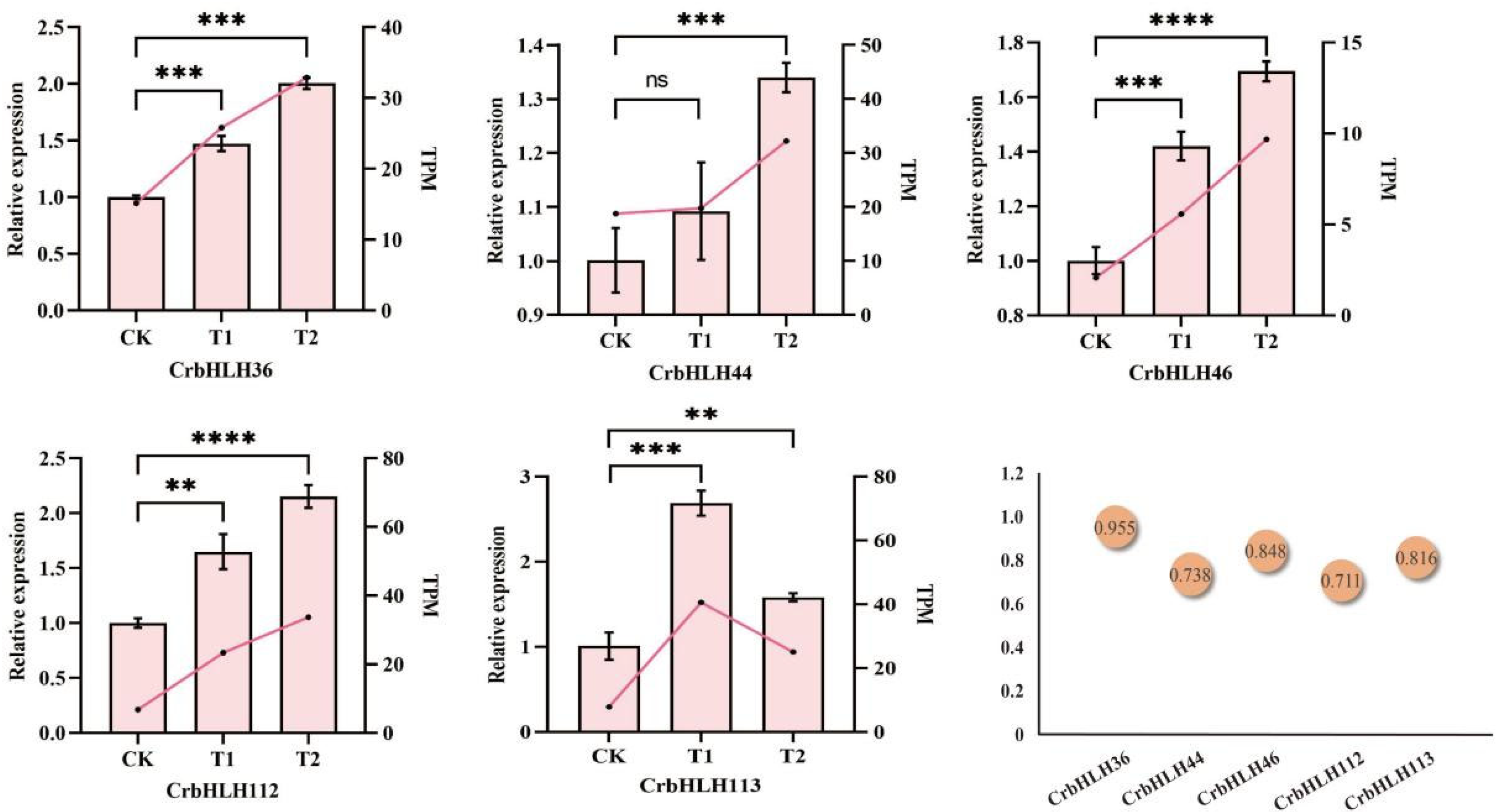 Plants 14 00882 g008