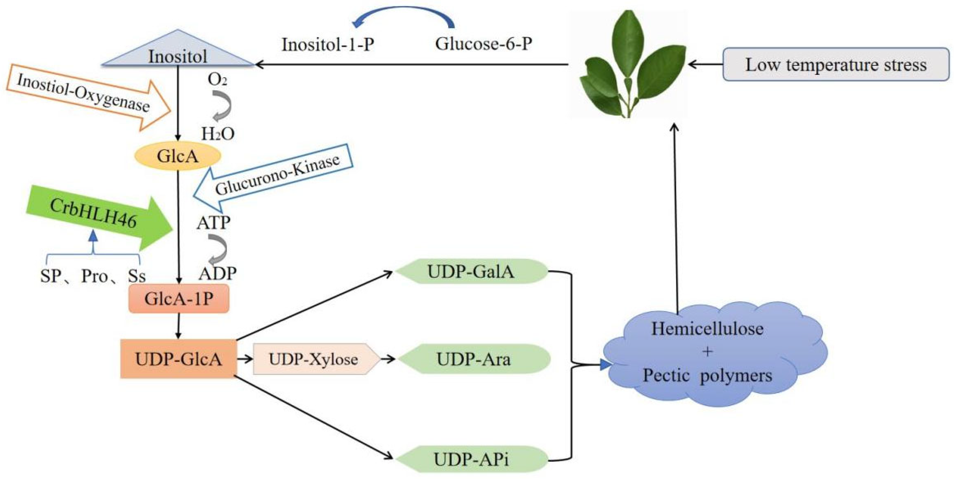 Plants 14 00882 g009