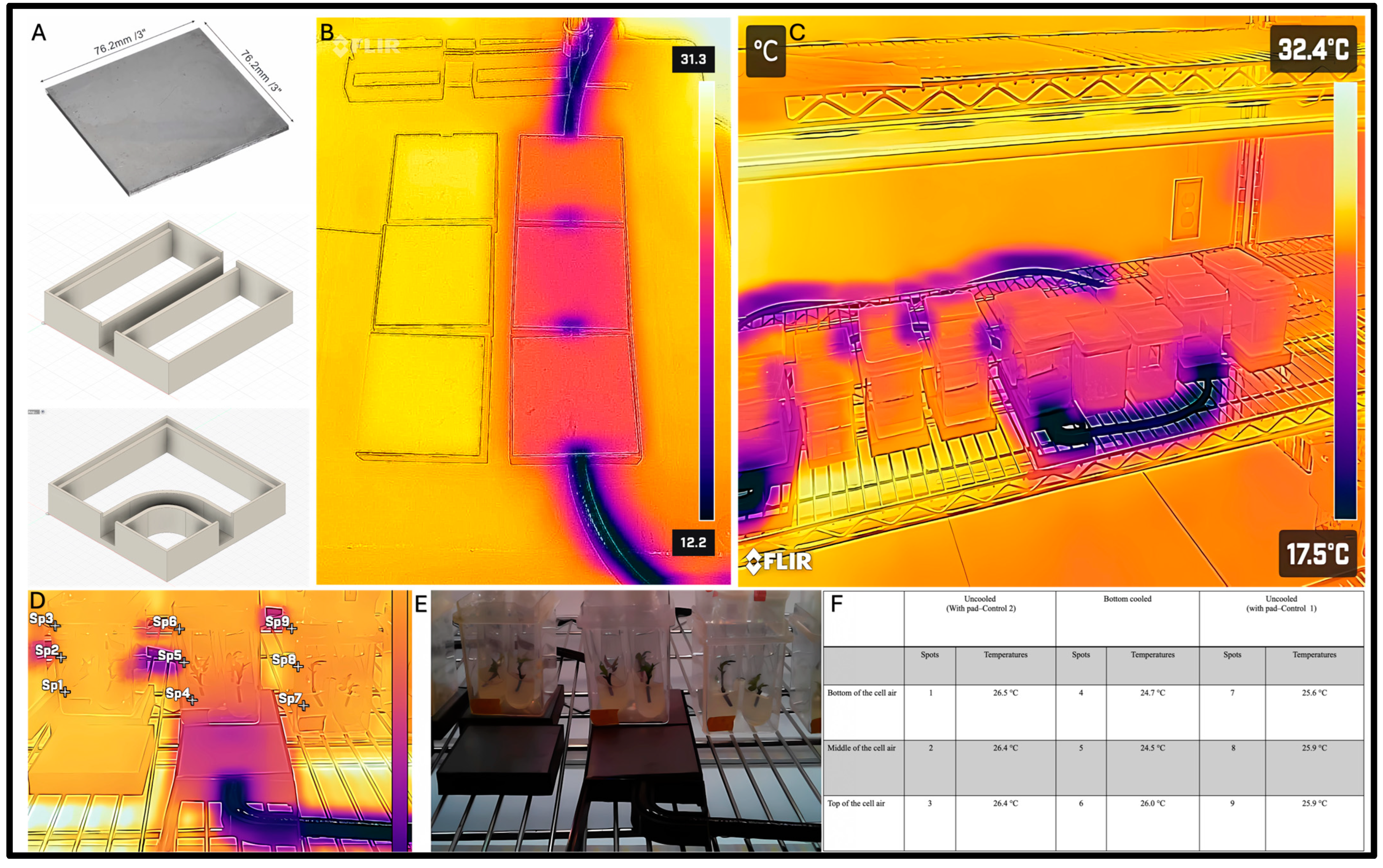 Plants 14 00886 g004
