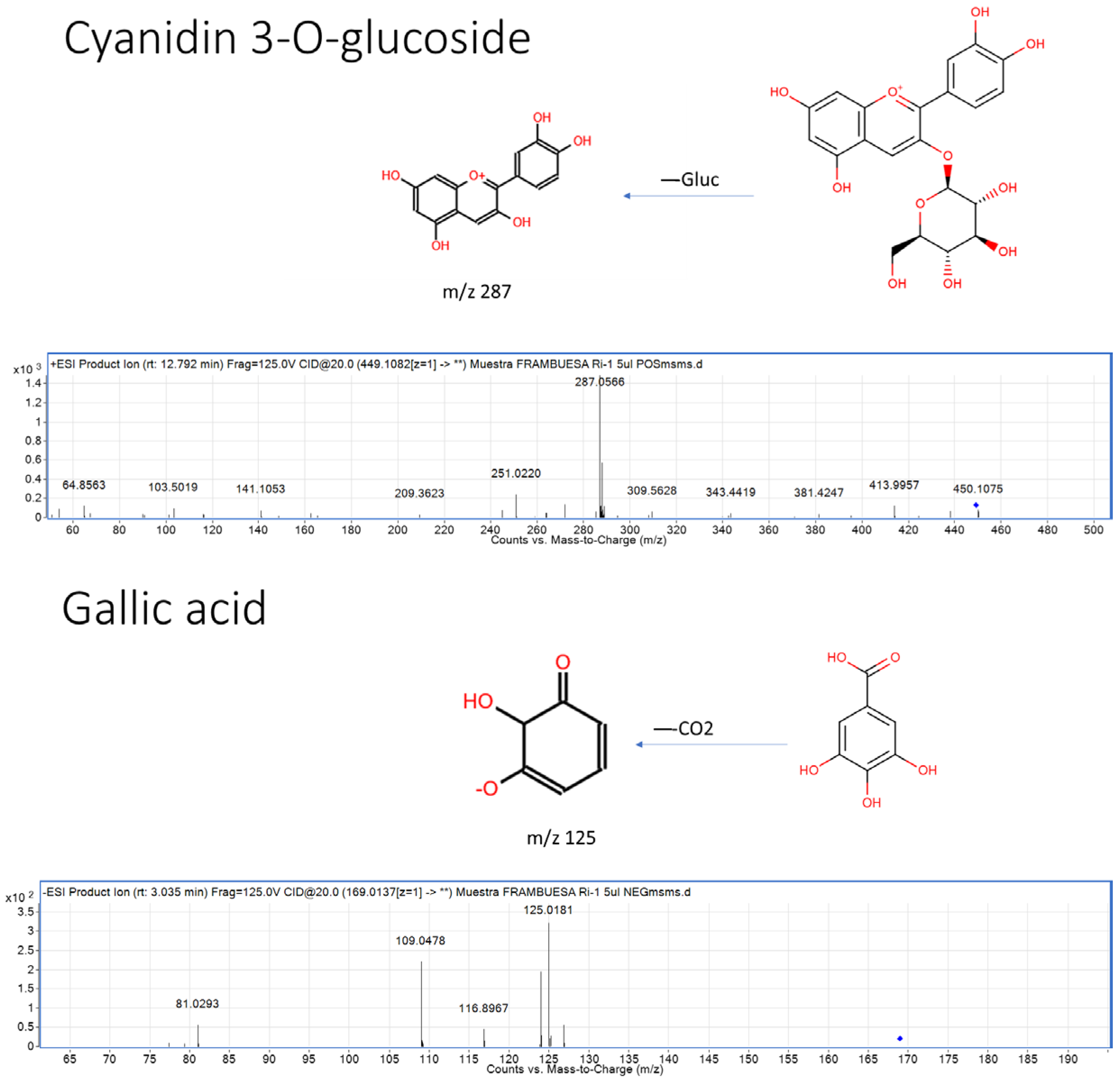 Plants 14 00888 g001