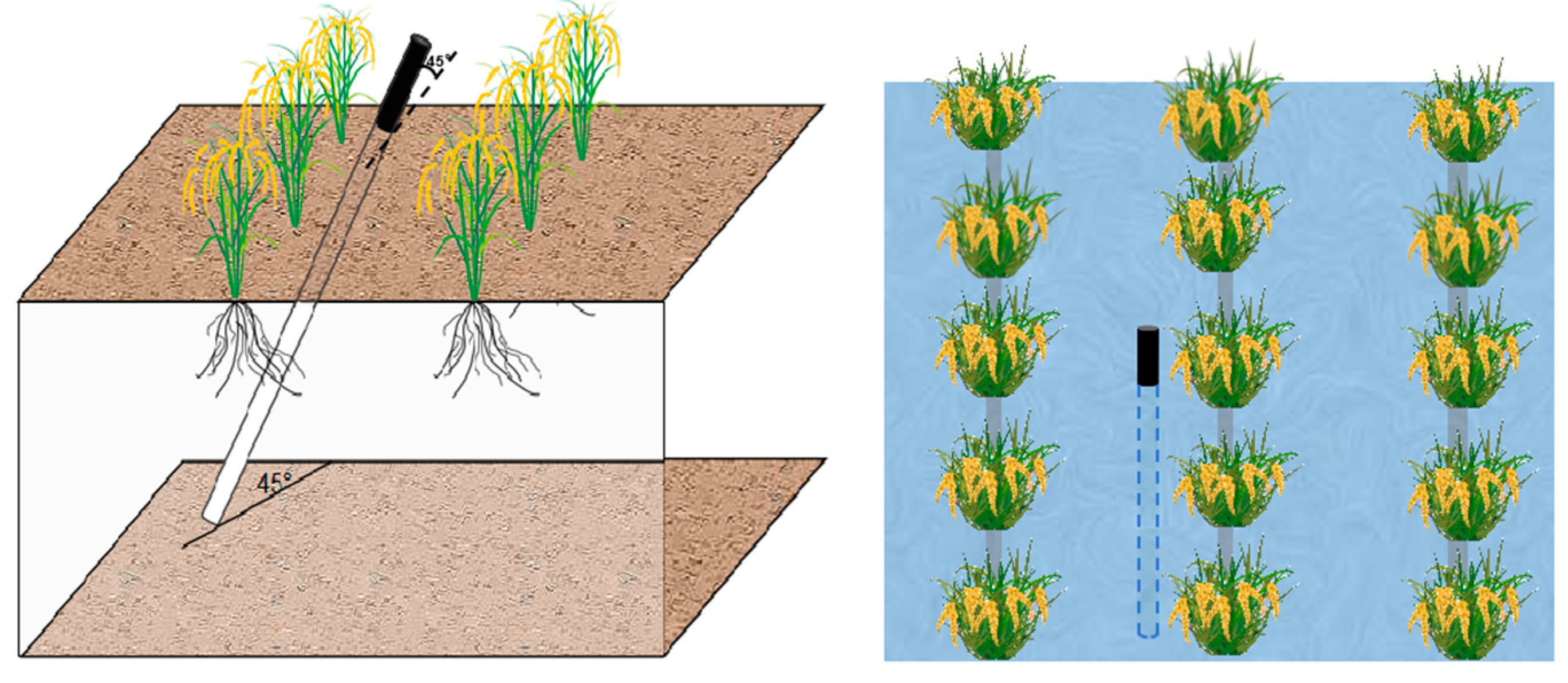 Plants 14 00891 g002