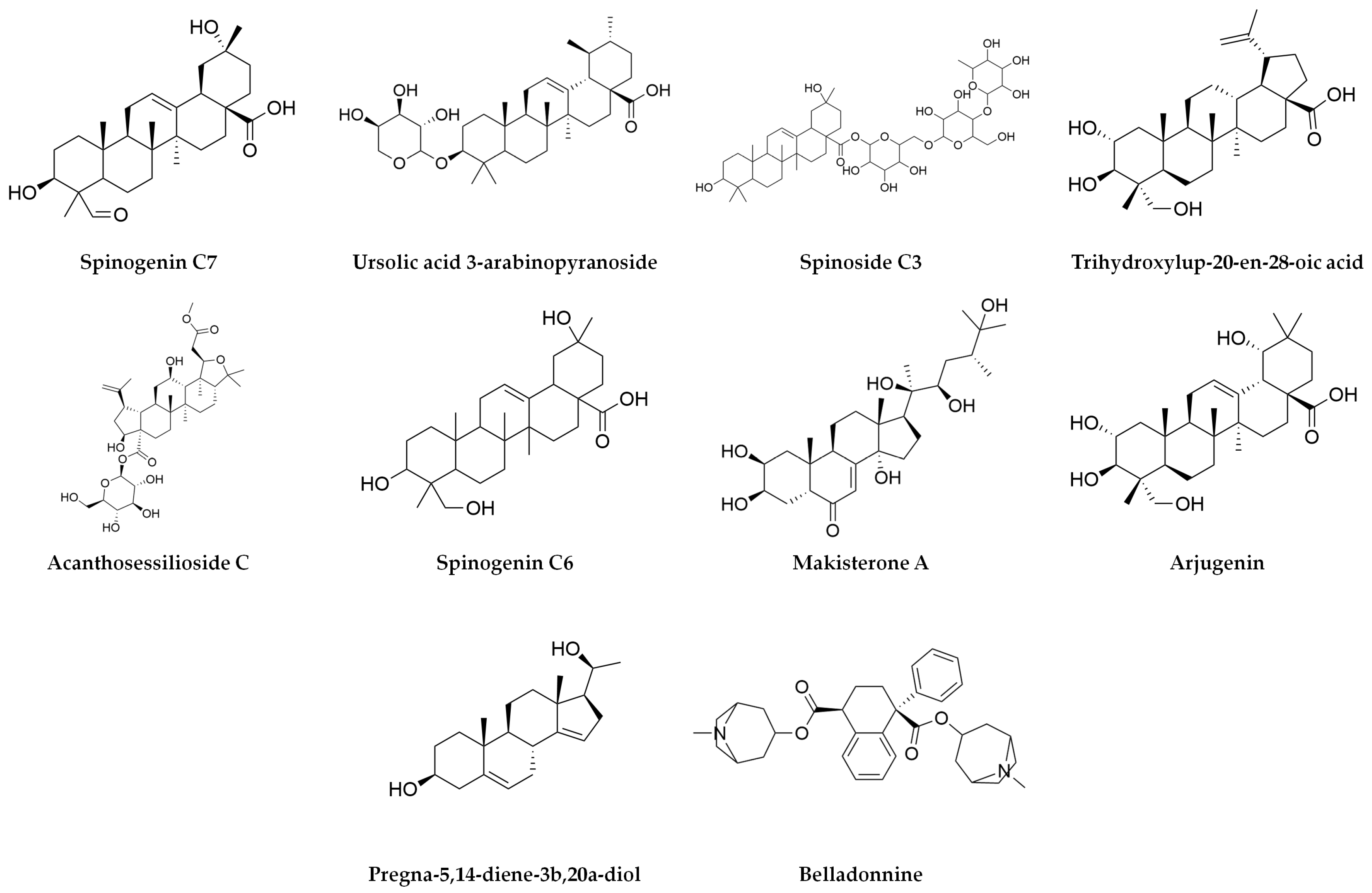 Plants 14 00894 g001 Plants 14 00894 g001