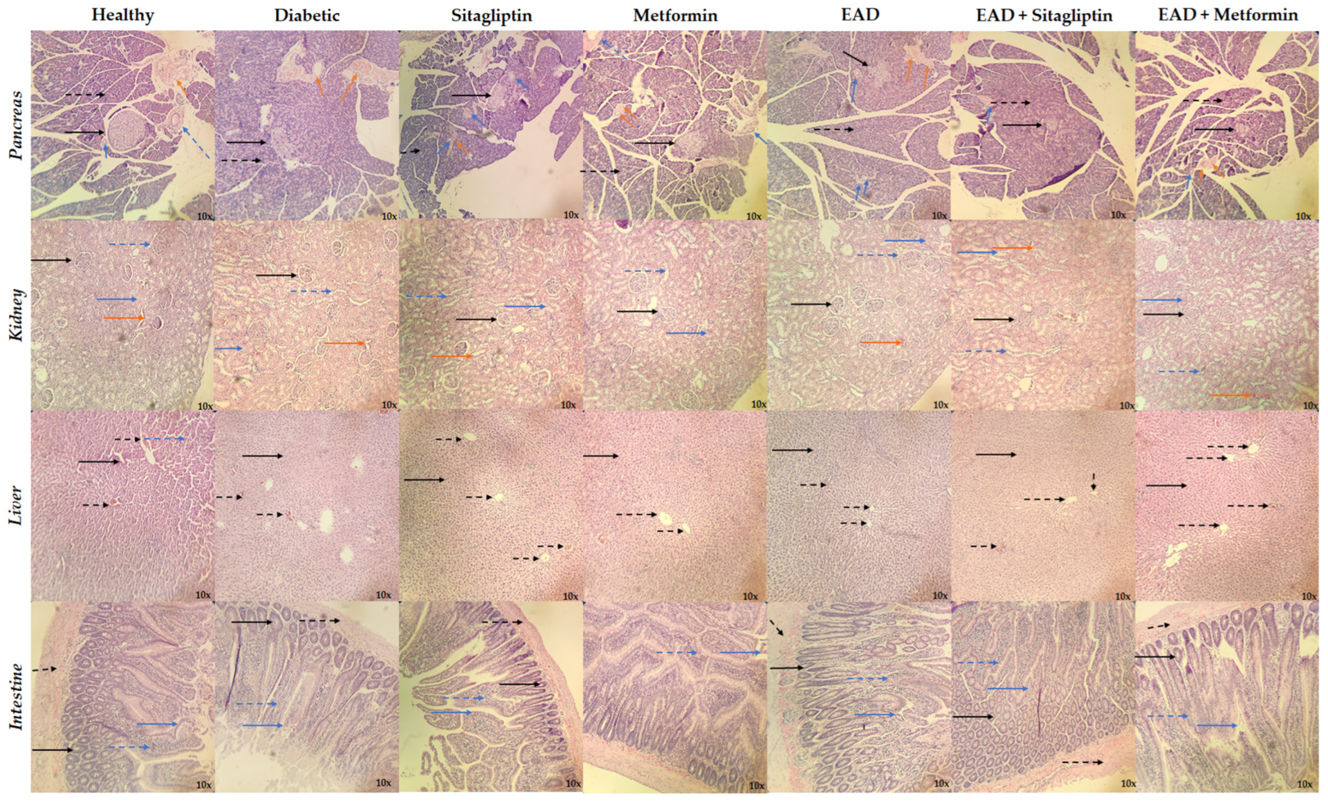 Plants 14 00894 g005 Plants 14 00894 g005