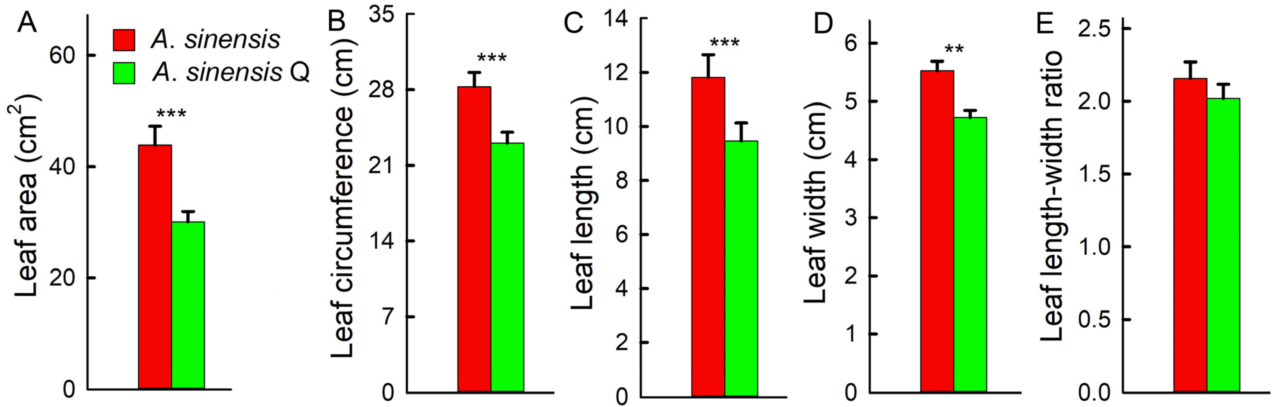 Plants 14 00896 g004