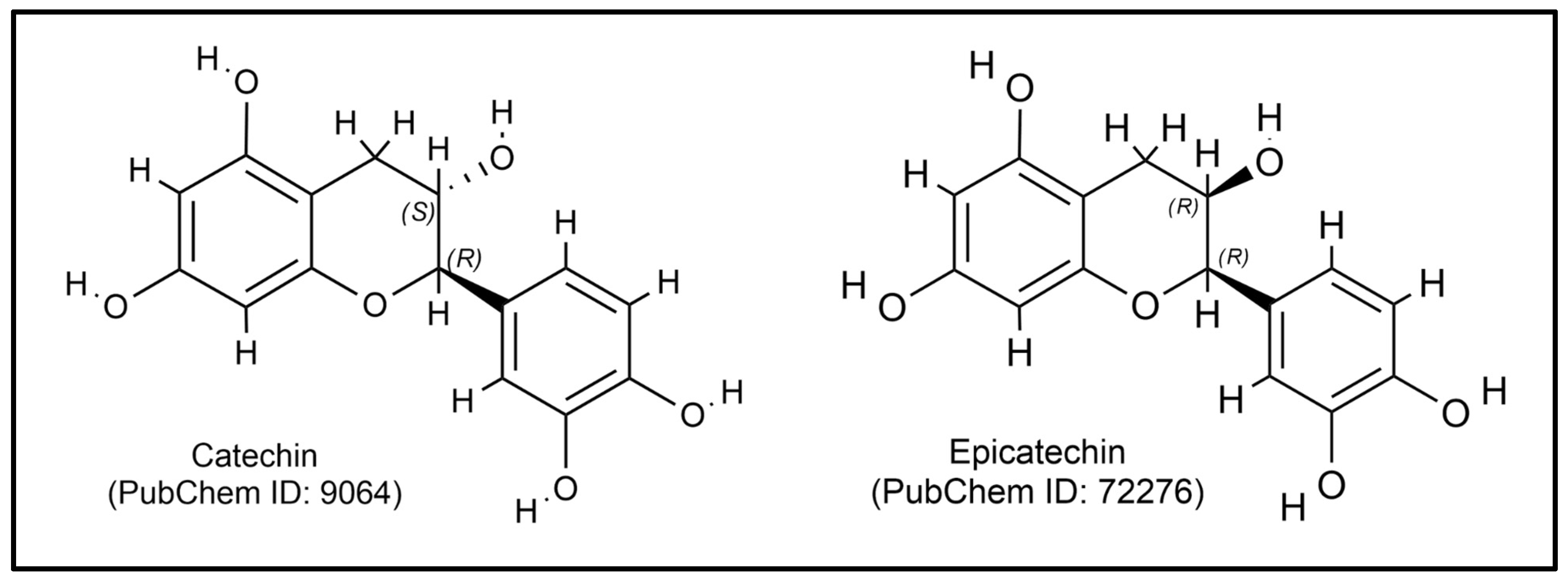 Plants 14 00897 g002
