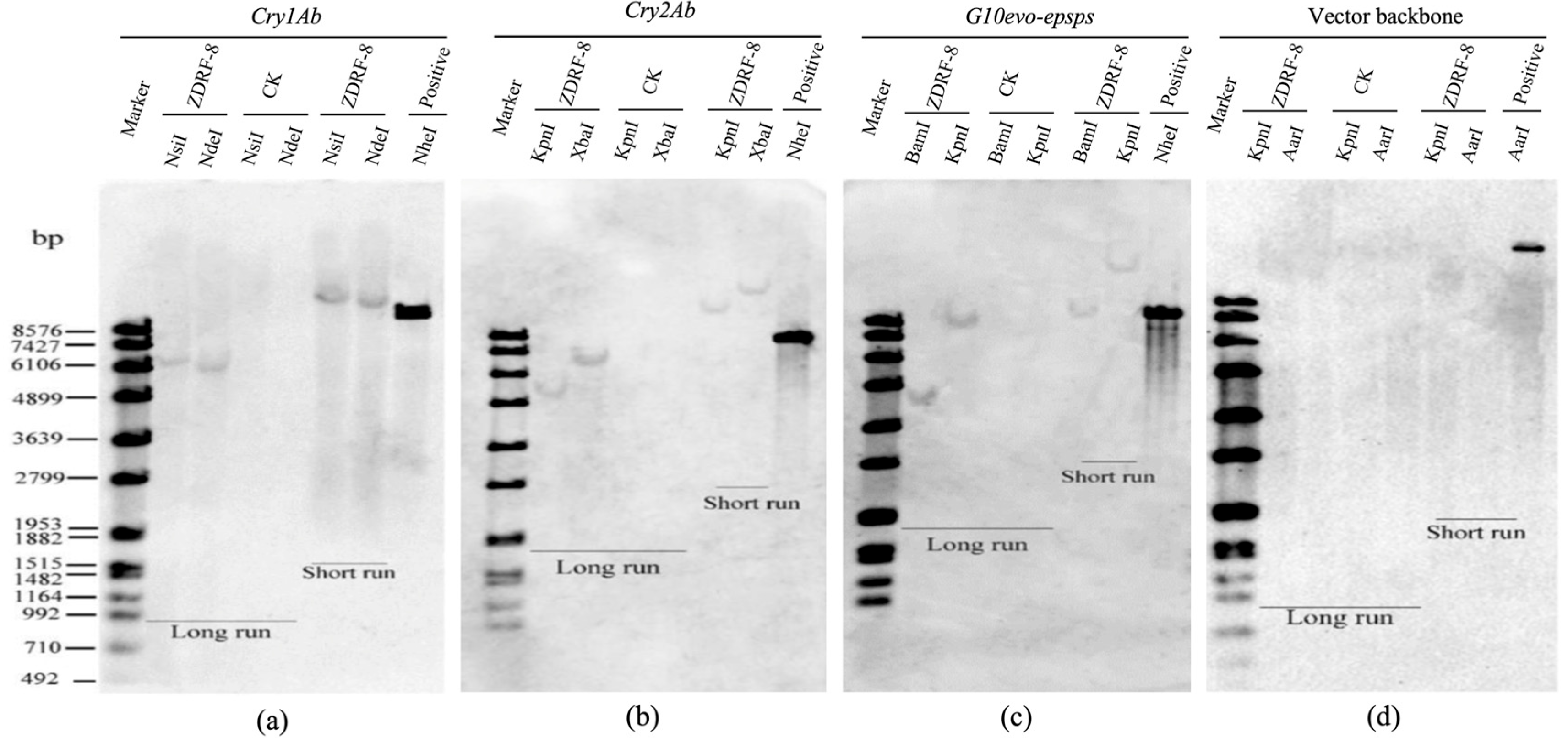 Plants 14 00901 g002