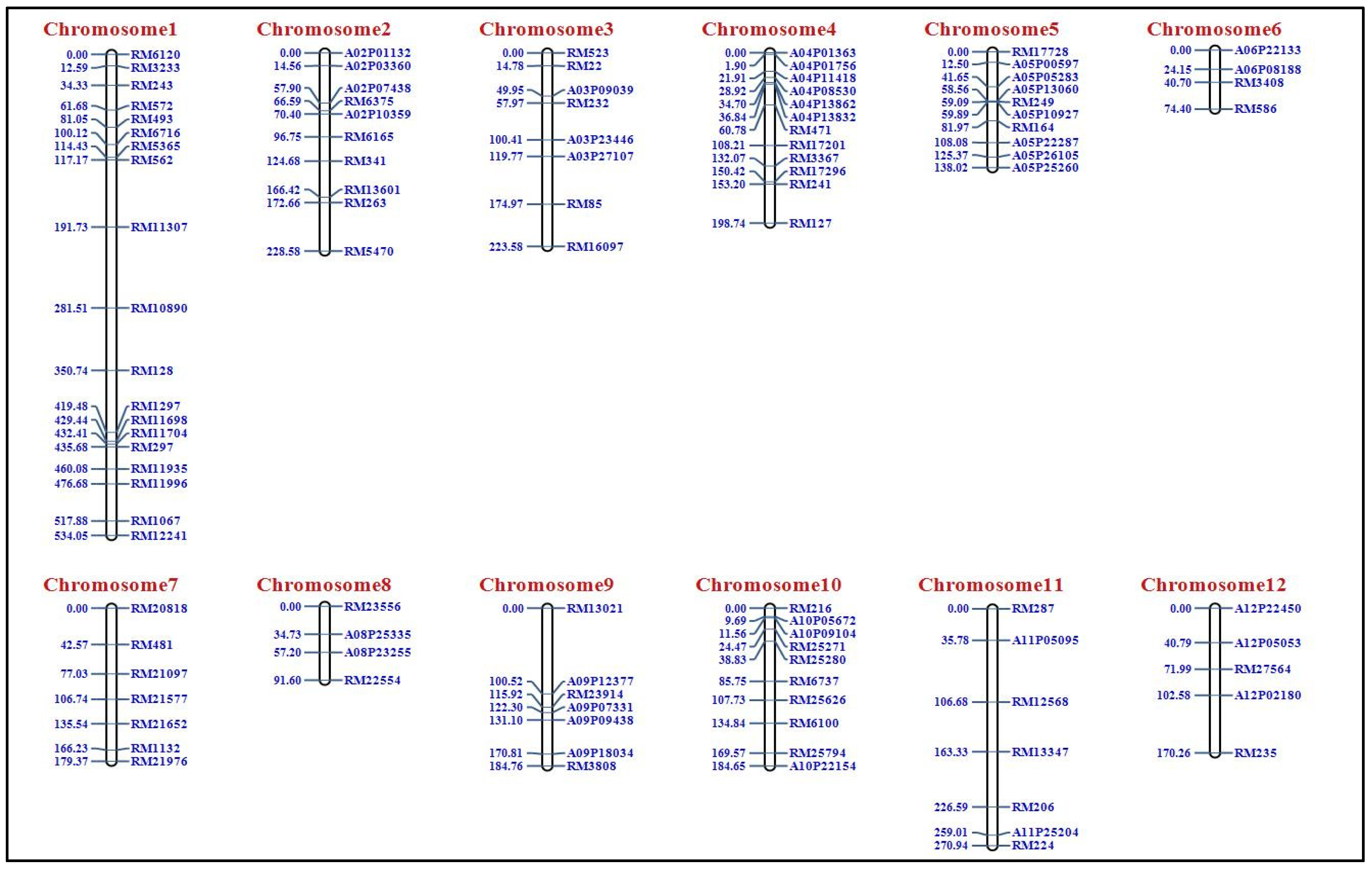 Plants 14 00905 g002