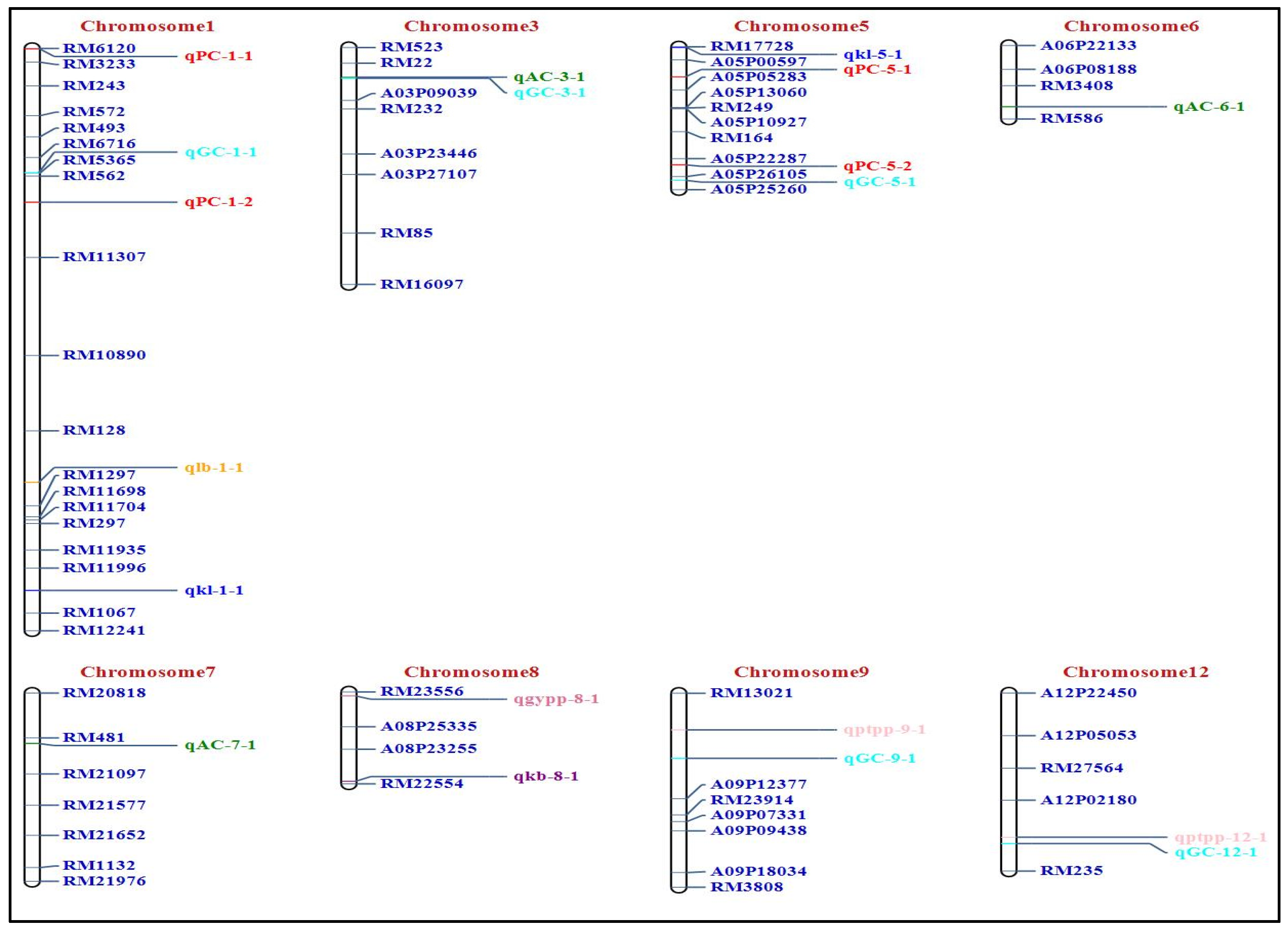 Plants 14 00905 g003