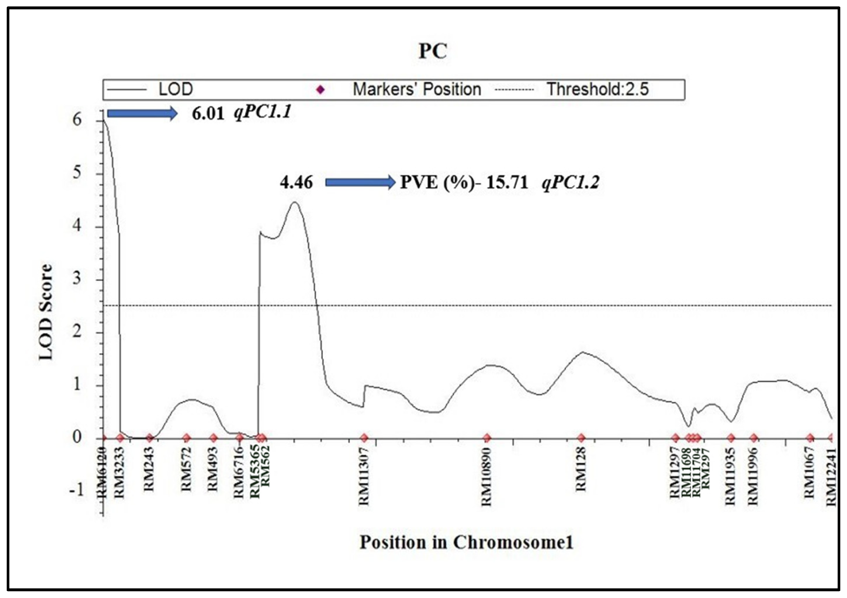 Plants 14 00905 g004