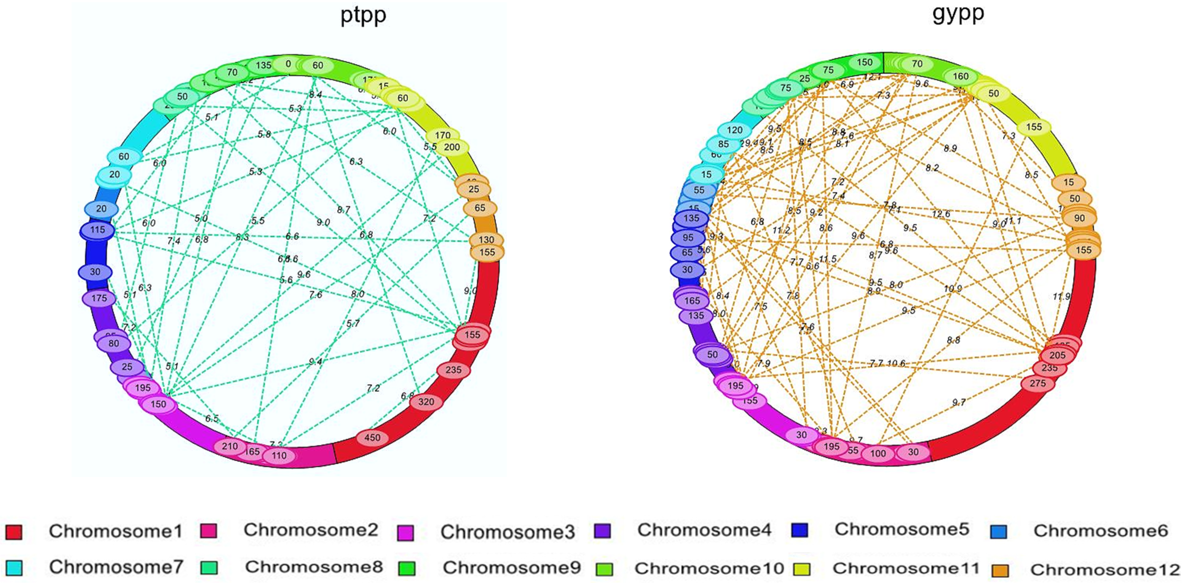 Plants 14 00905 g005b