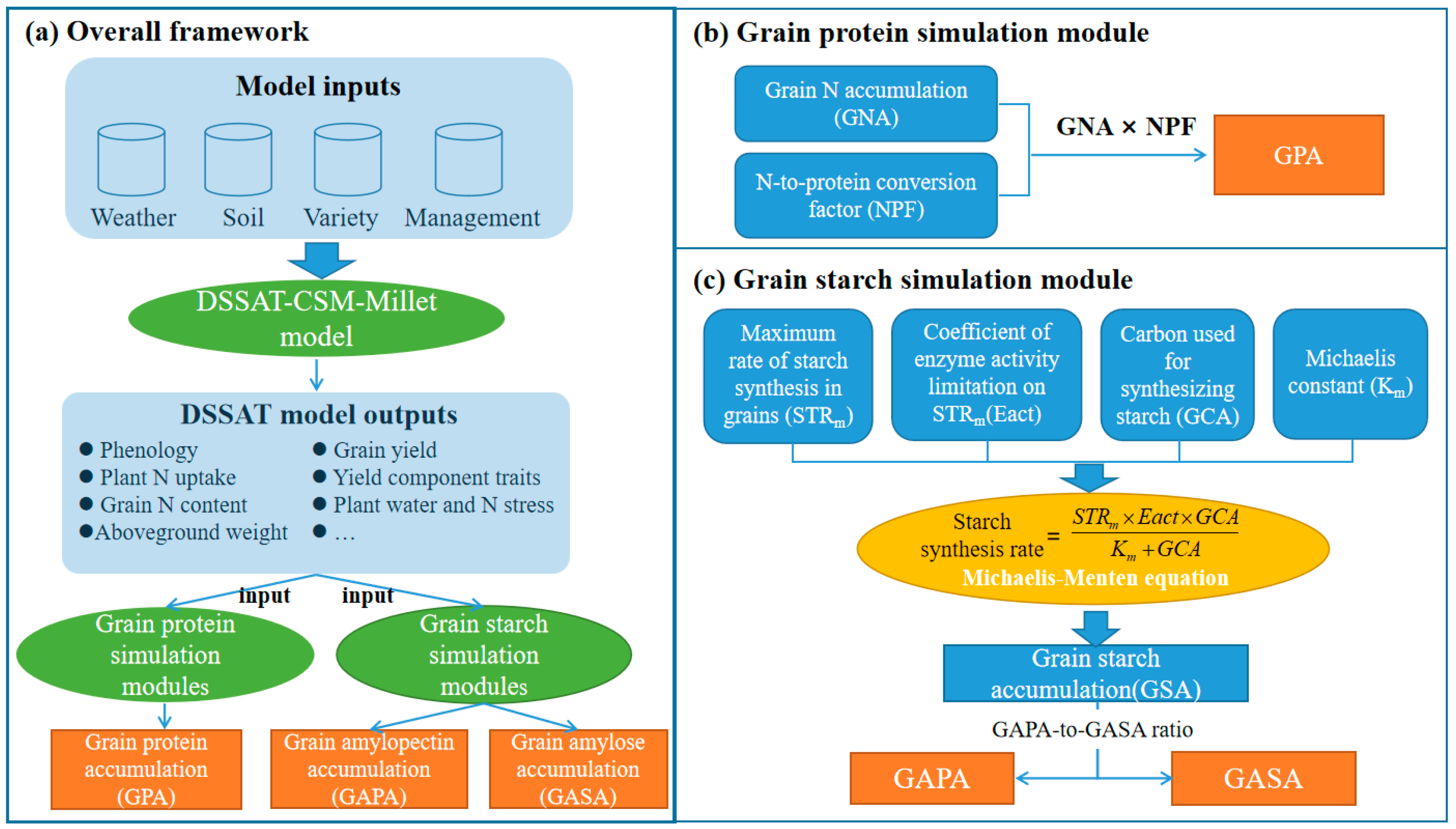 Developing the DSSAT-CERES-Millet Model for Dynamic Simulation of Grain ...