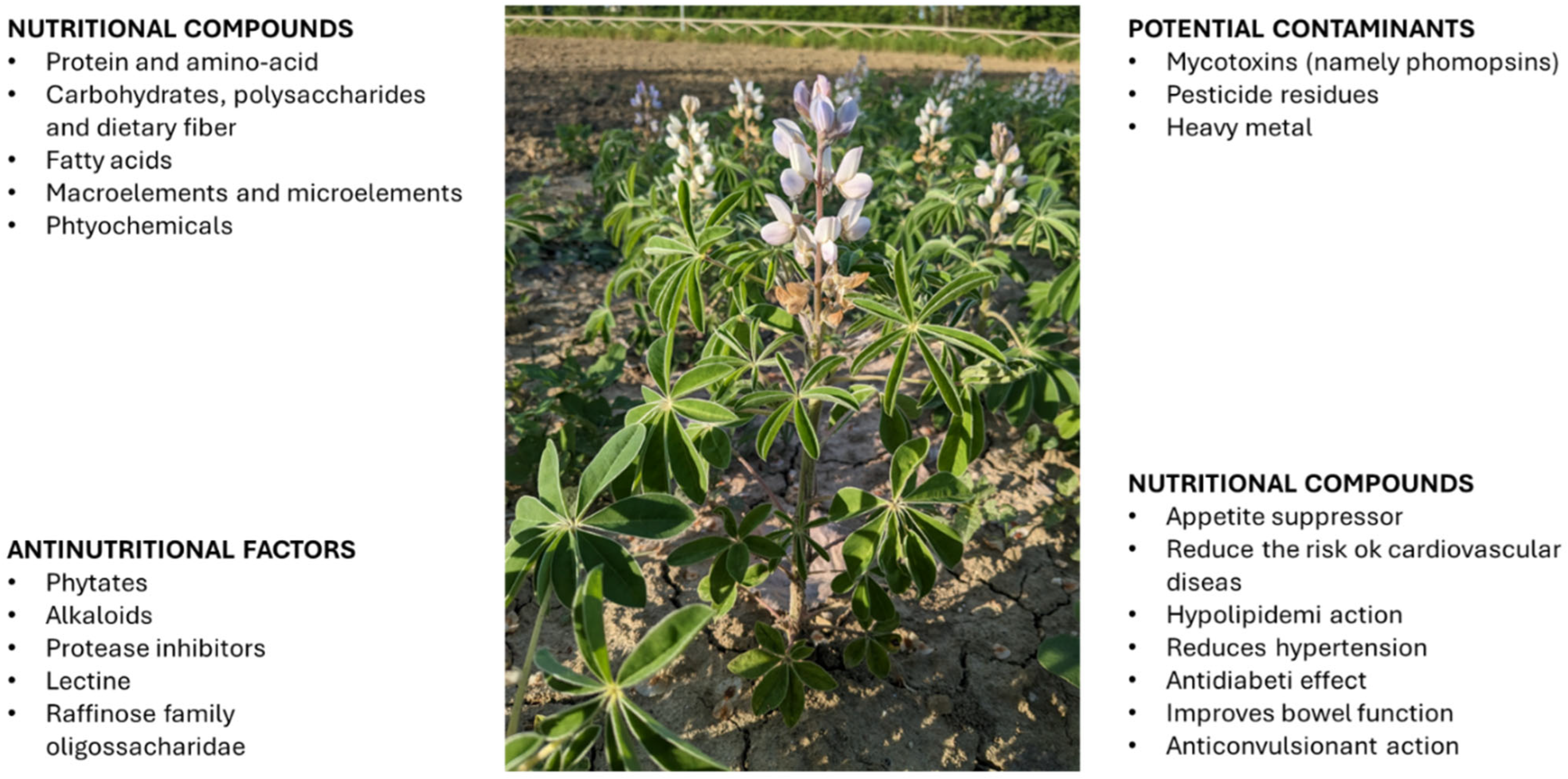 Plants 14 00914 g001