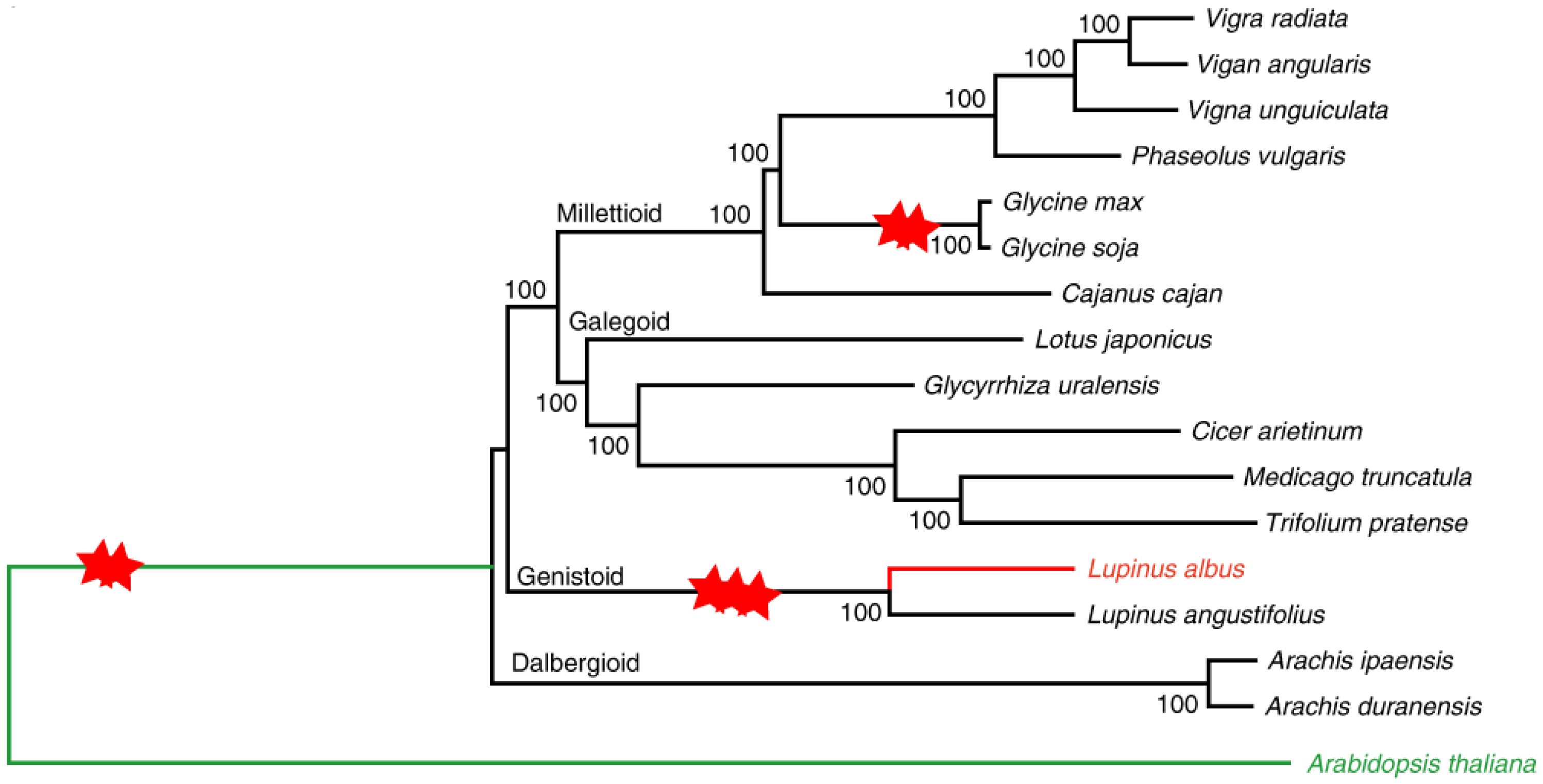 Plants 14 00914 g002