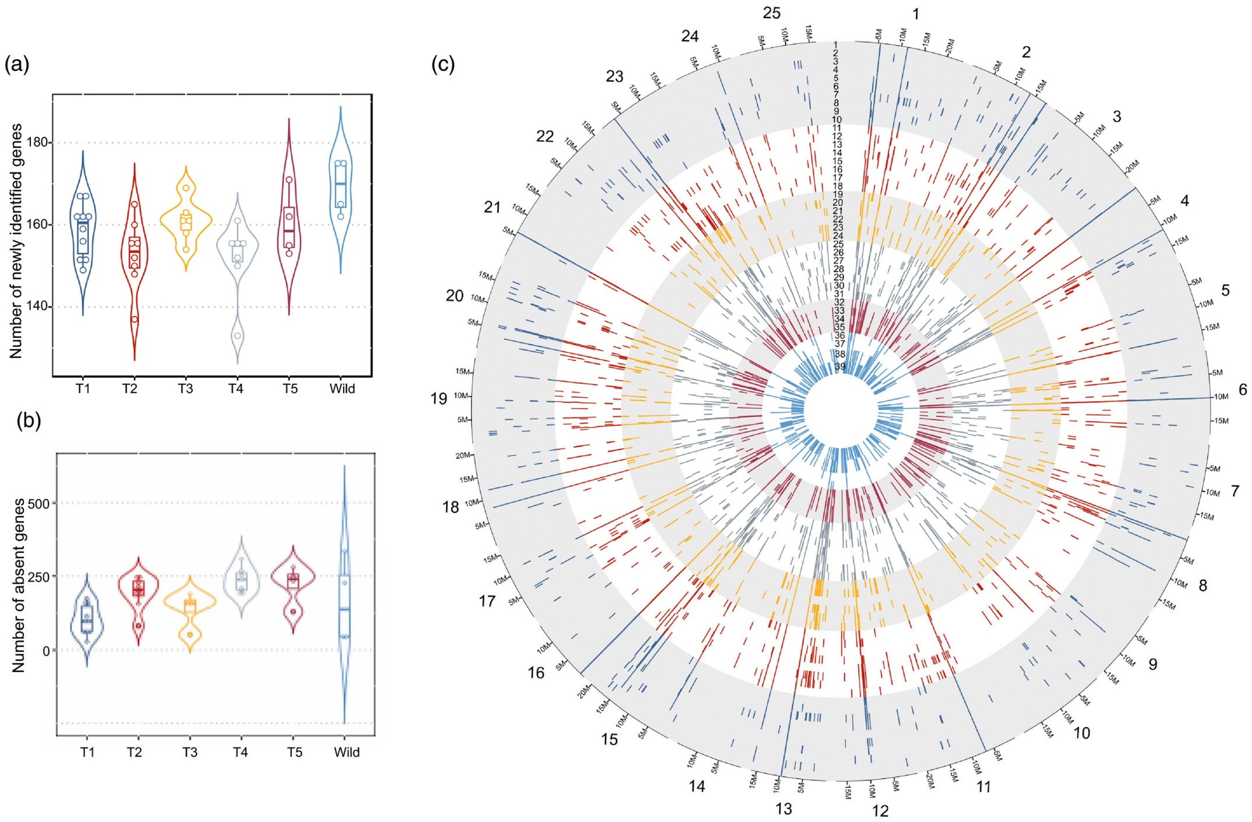 Plants 14 00914 g004
