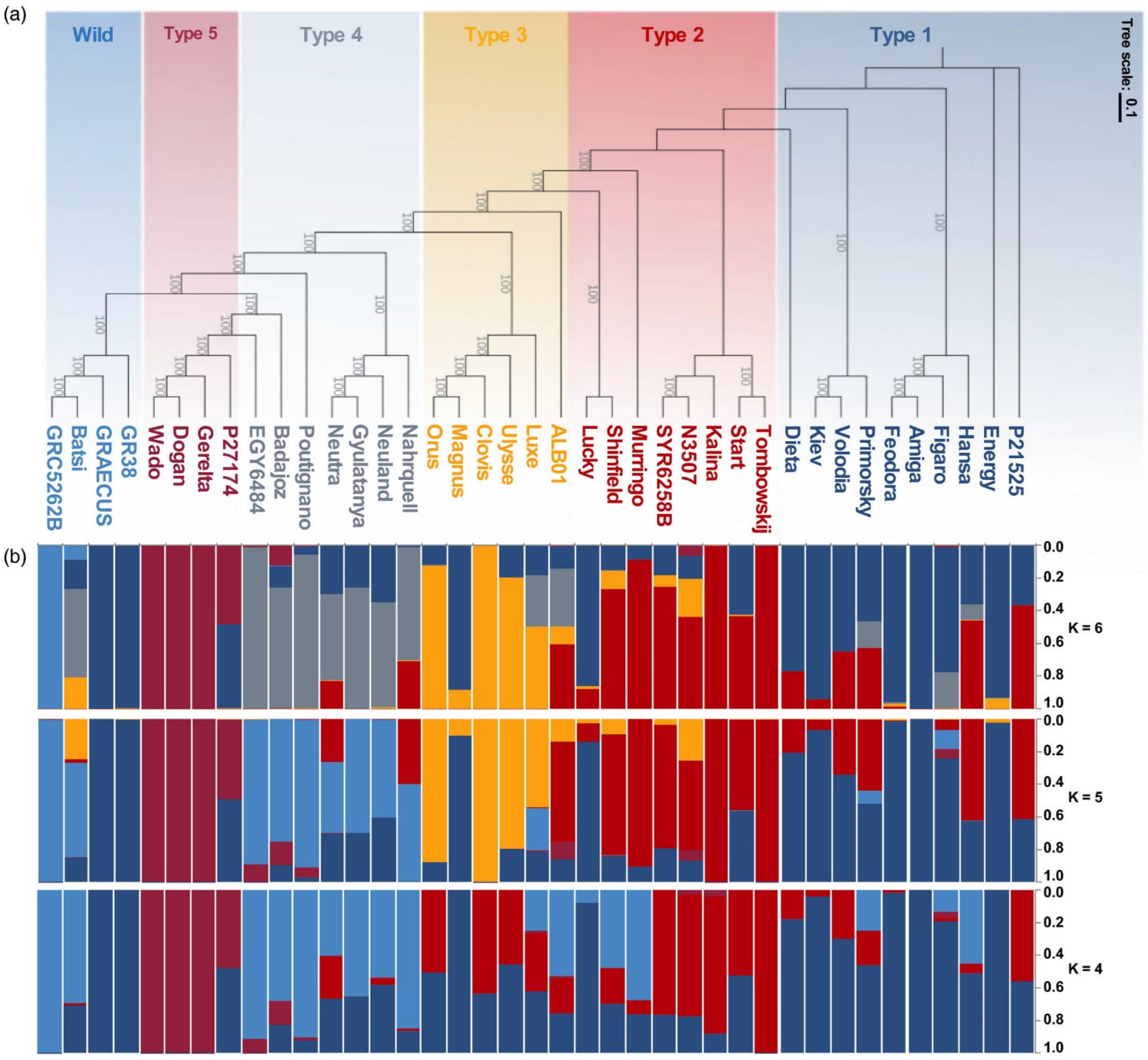 Plants 14 00914 g005
