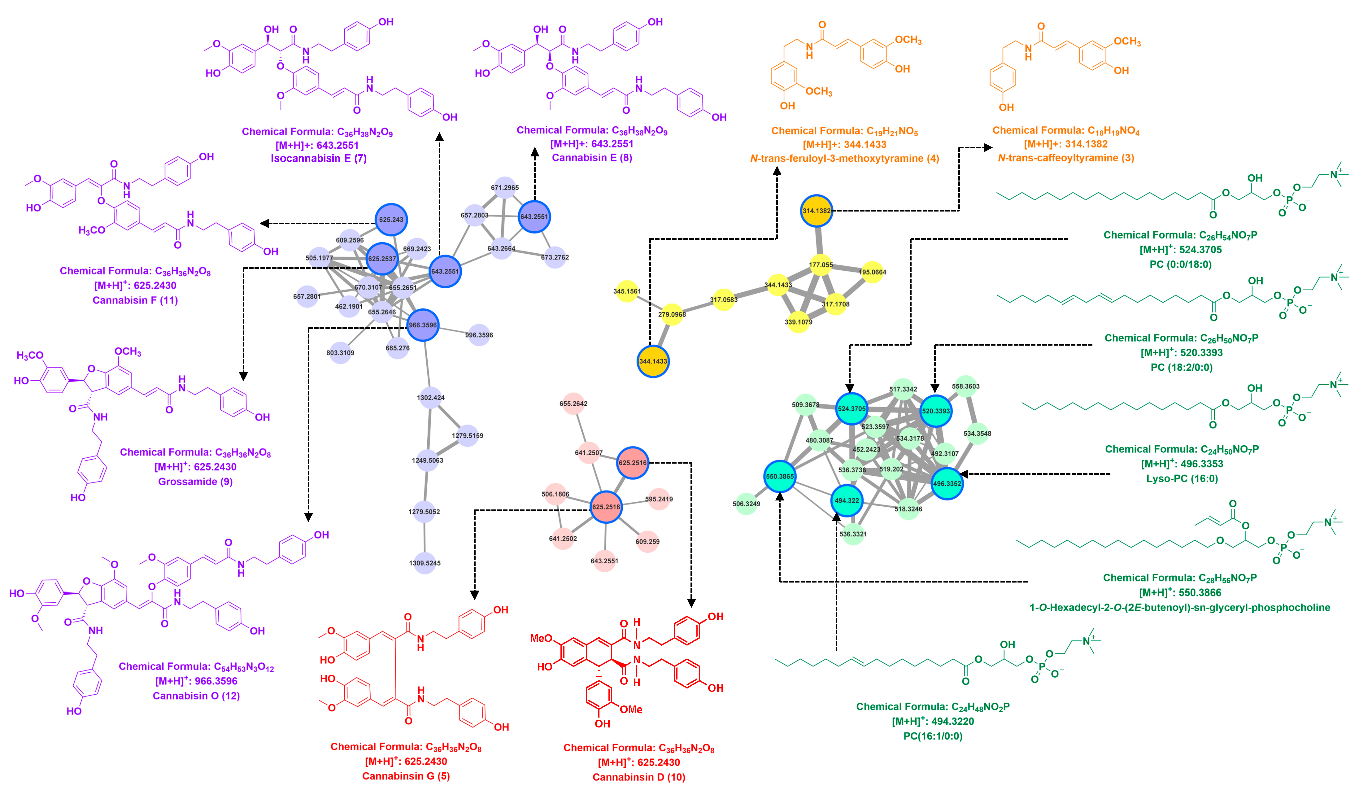 Plants 14 00916 g002