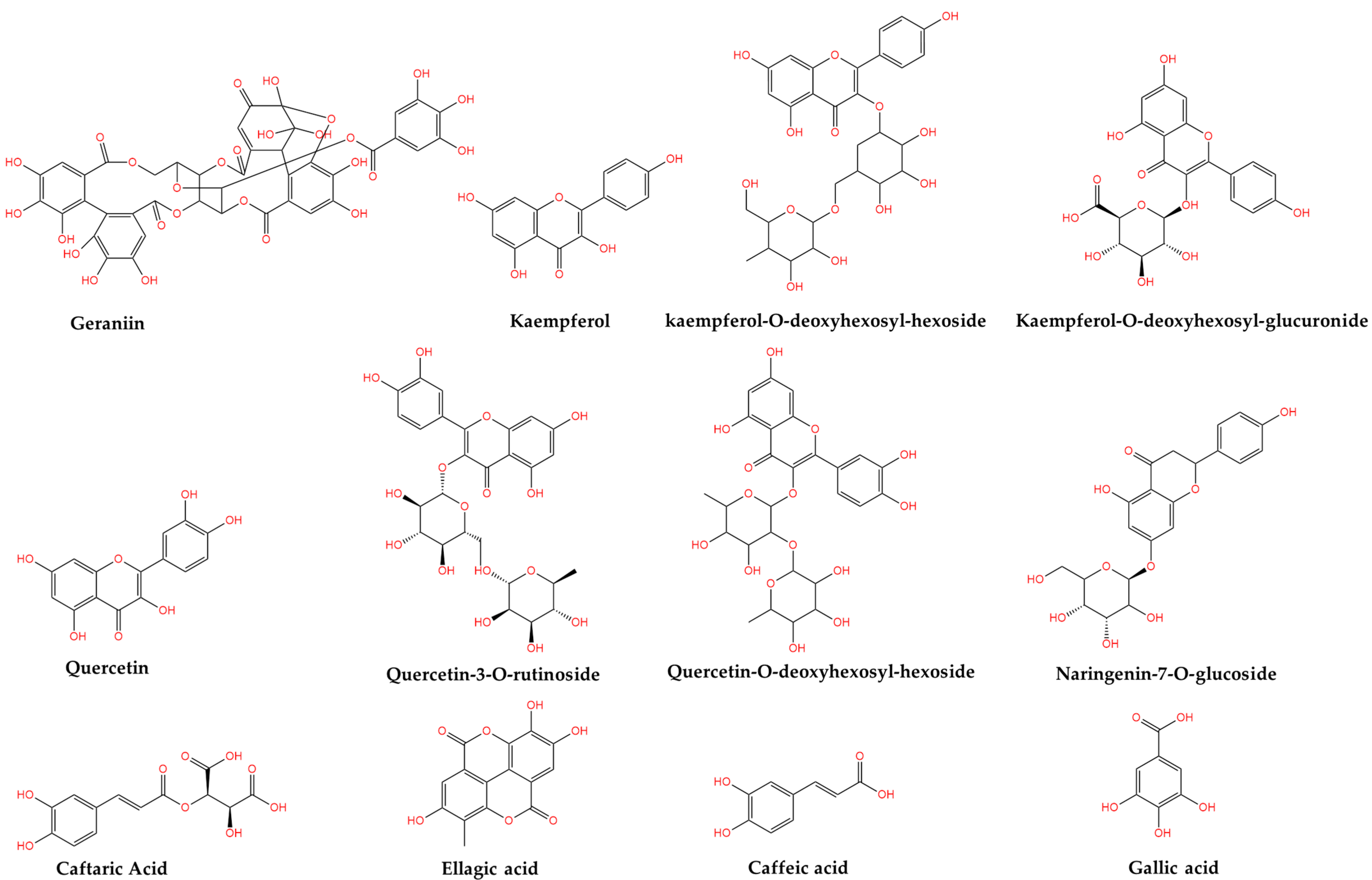 Plants 14 00918 g001
