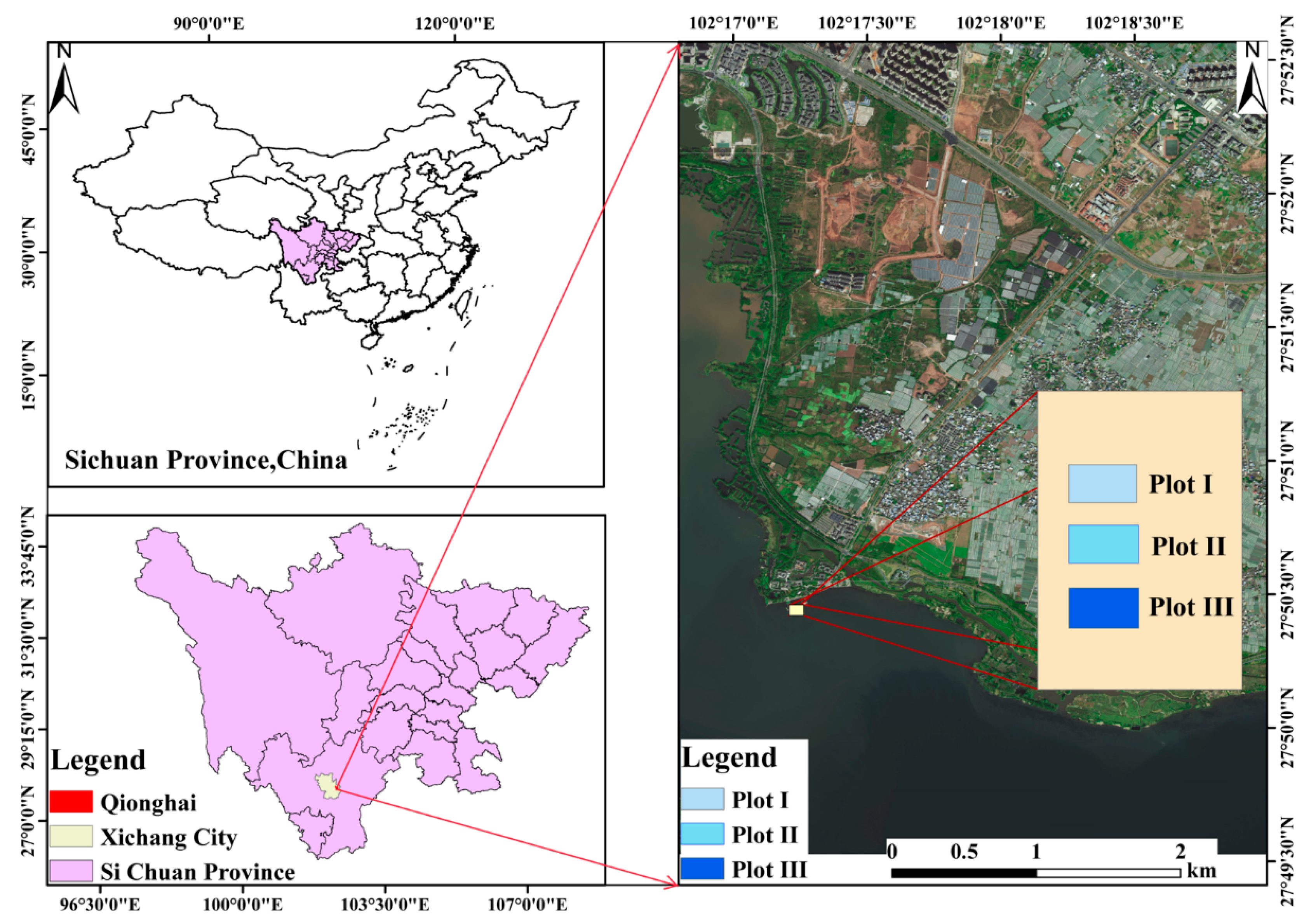 Plants 14 00919 g001