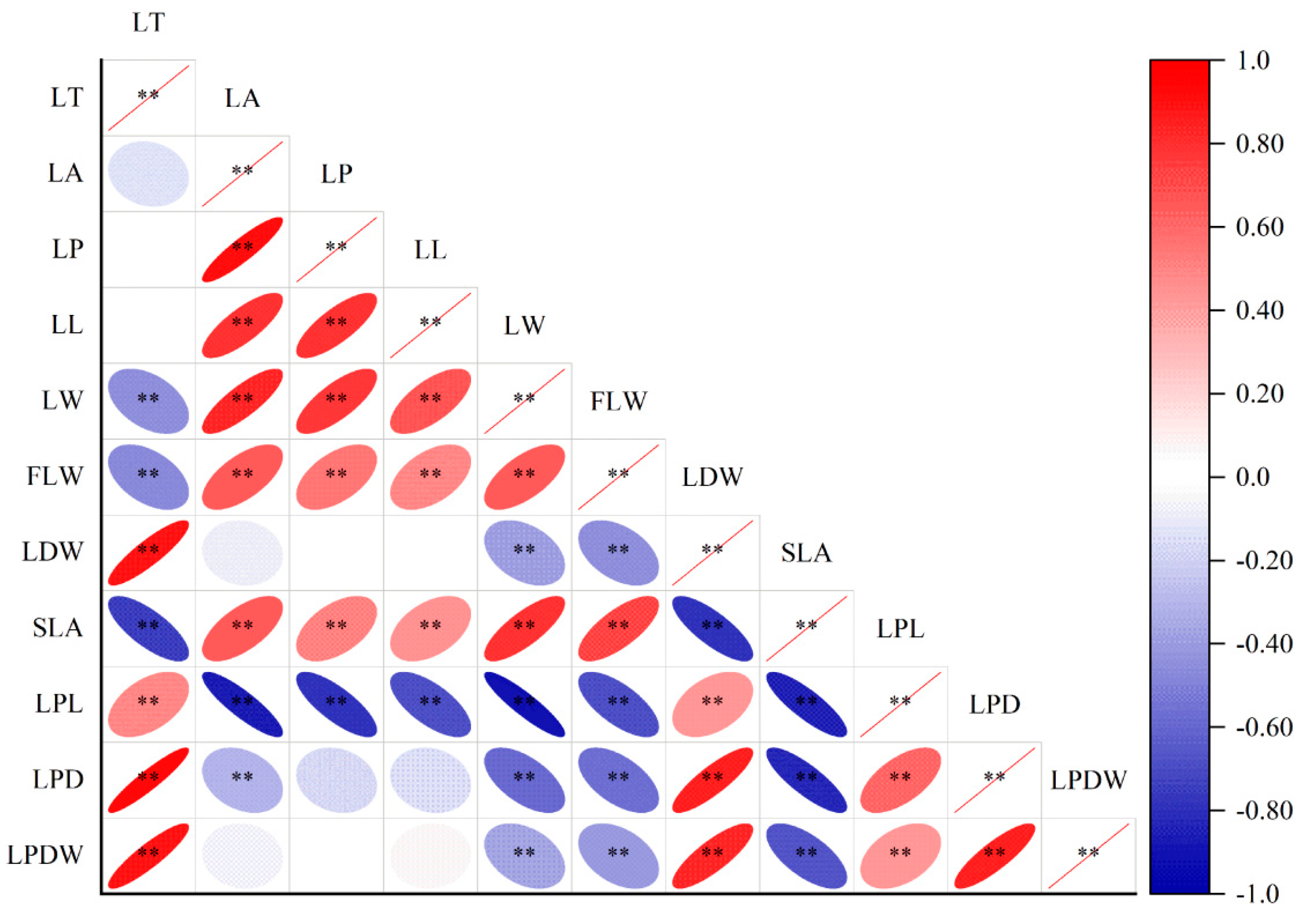 Plants 14 00919 g005