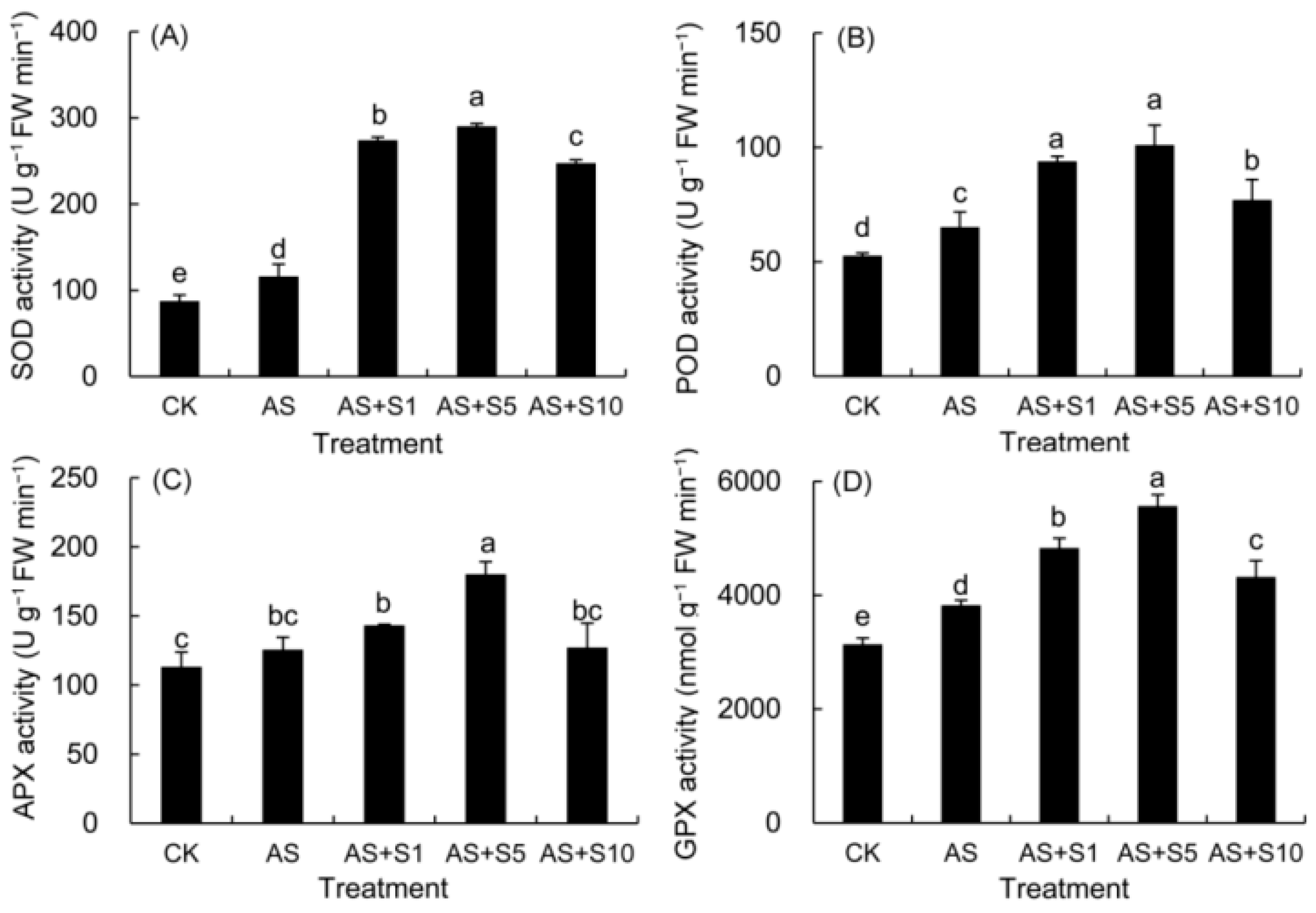 Plants 14 00920 g001