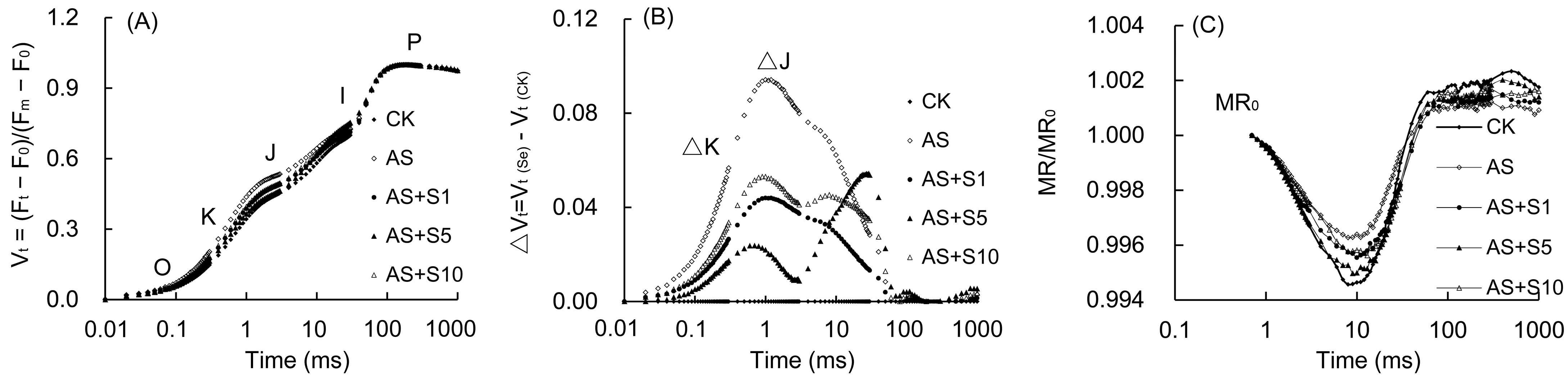 Plants 14 00920 g007