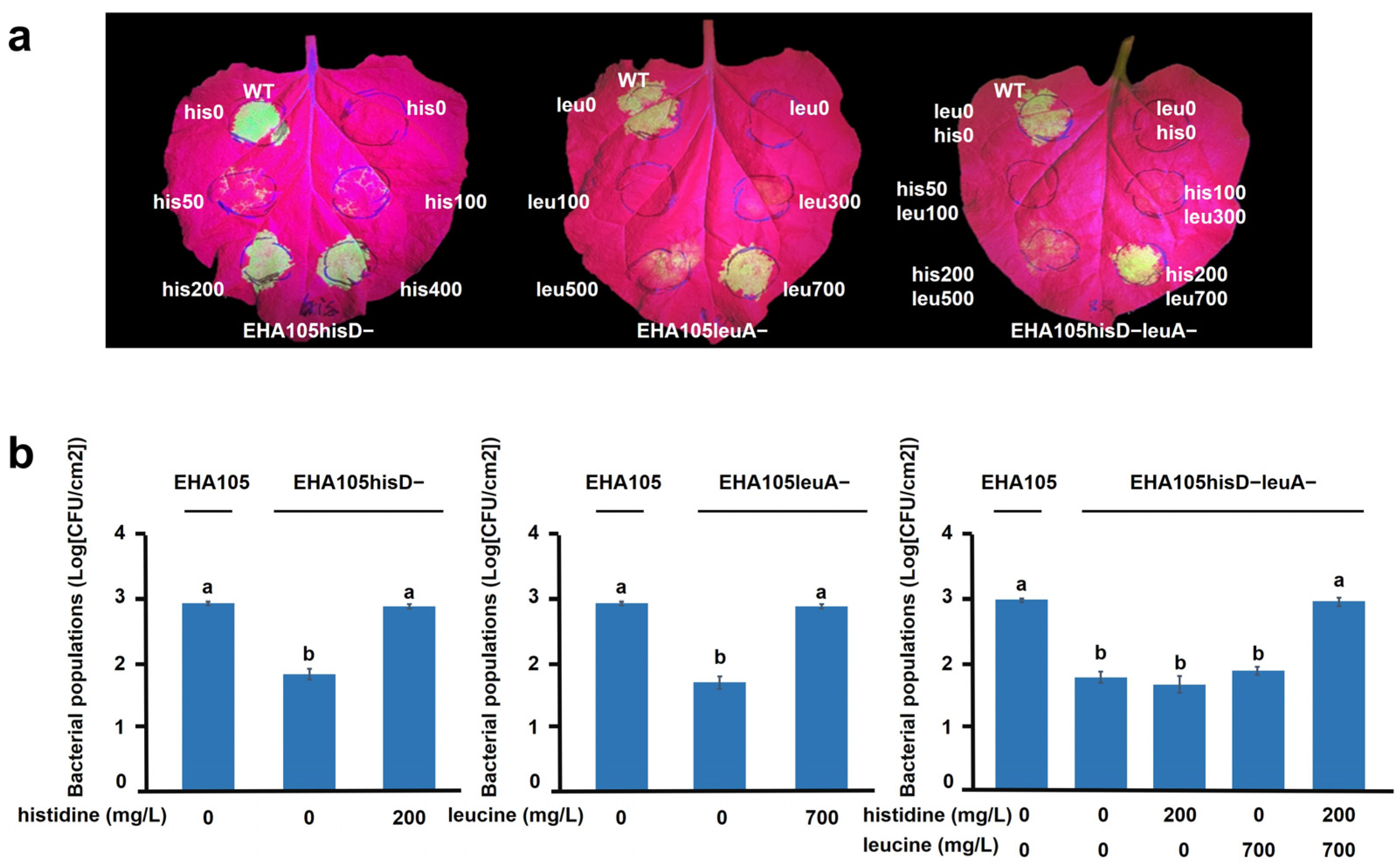 Plants 14 00925 g003