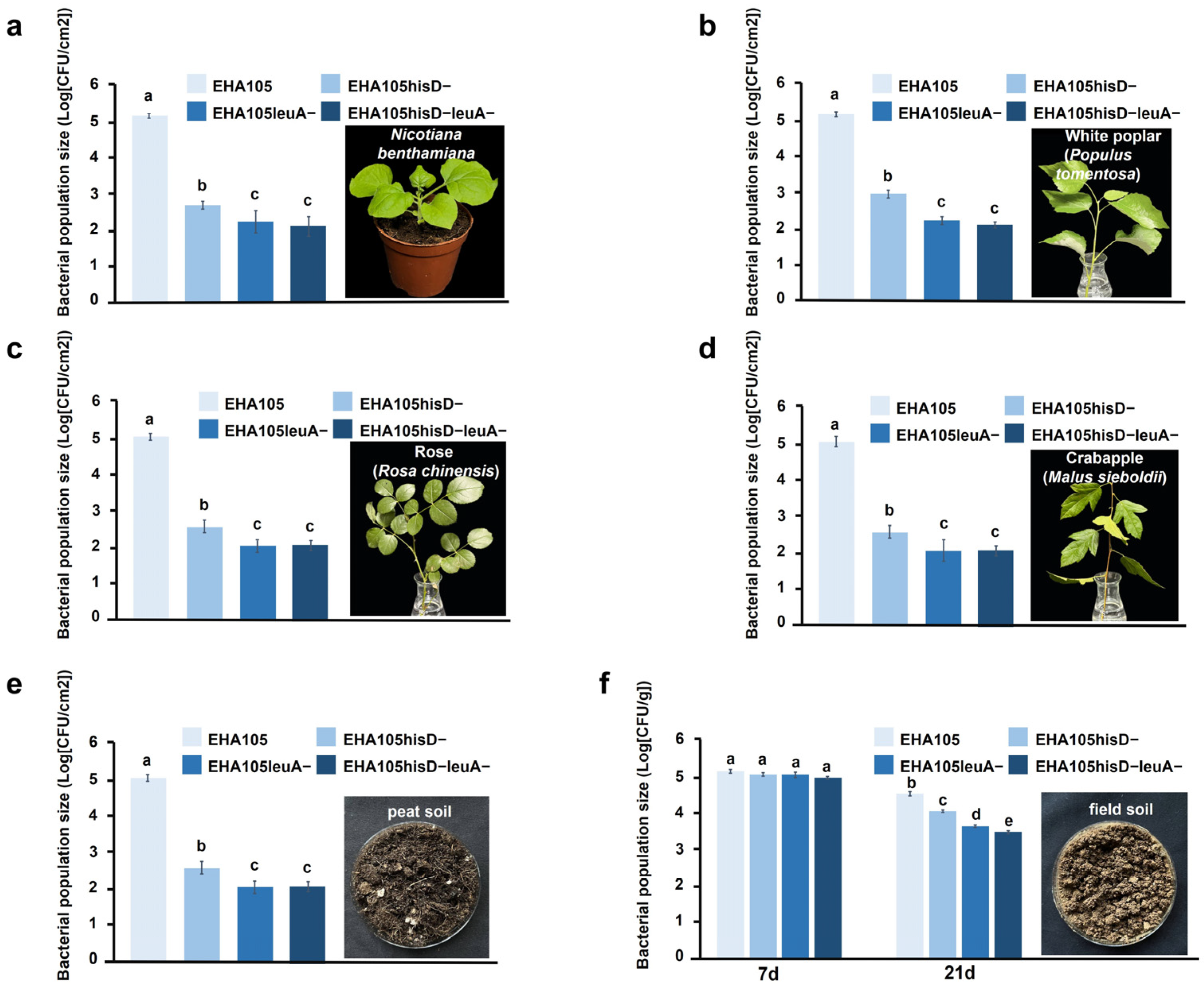 Plants 14 00925 g005
