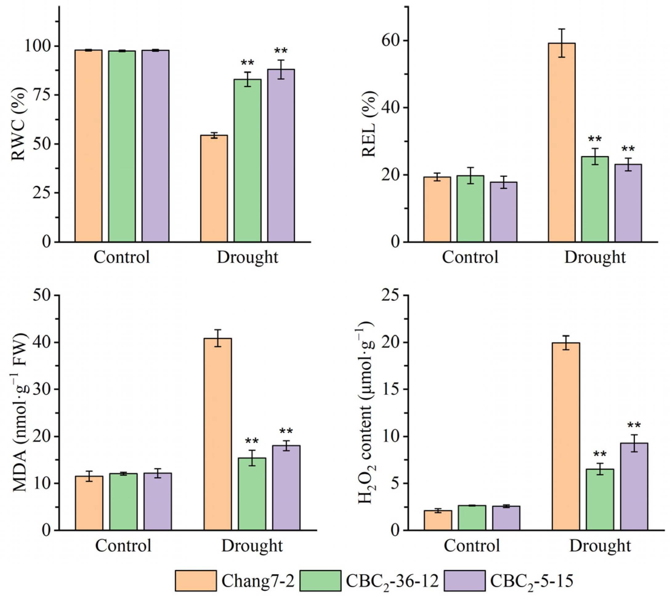 Plants 14 00926 g005