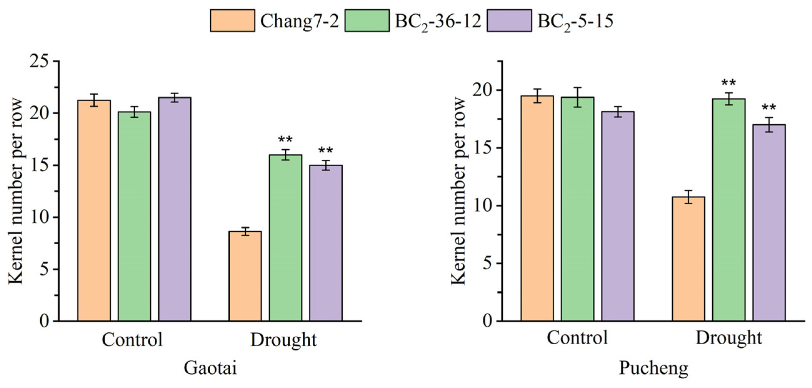 Plants 14 00926 g007