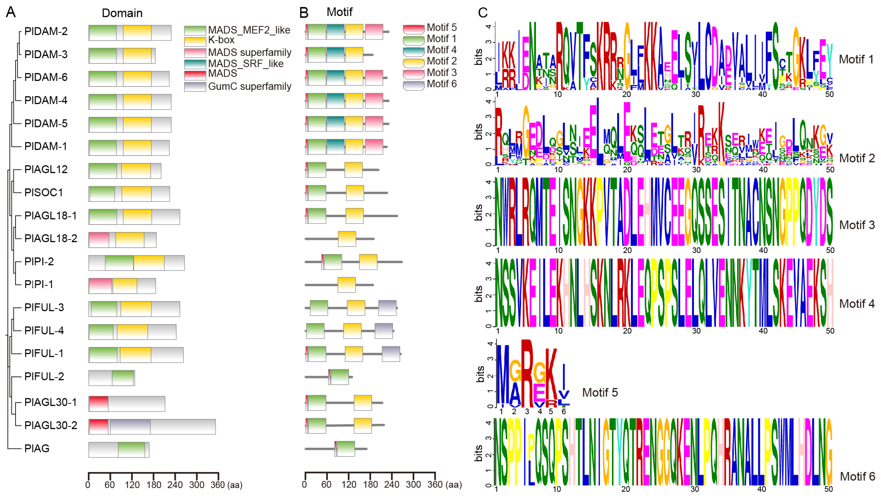 Plants 14 00928 g003