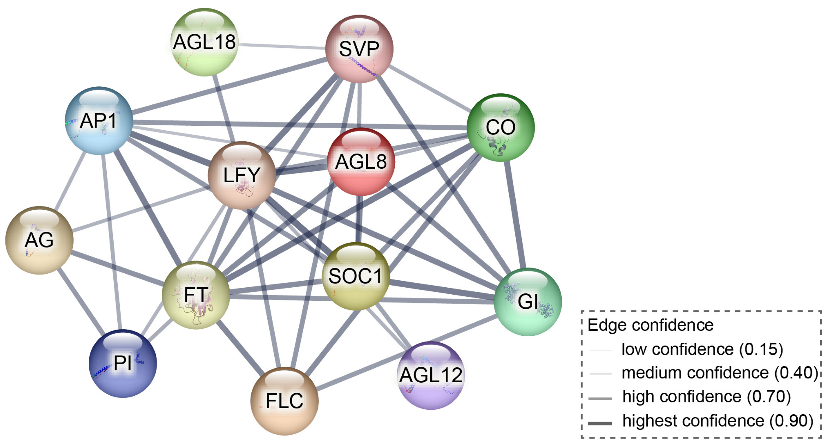 Plants 14 00928 g006