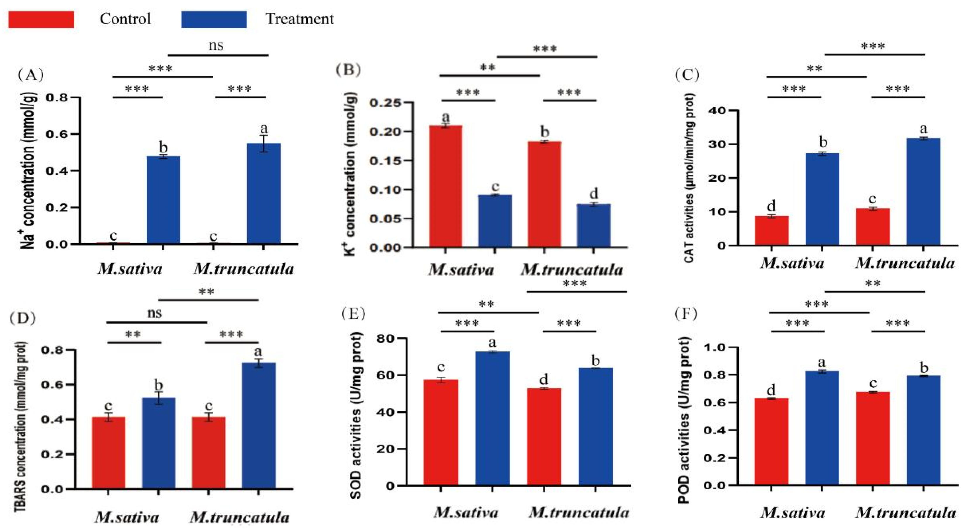 Plants 14 00929 g002