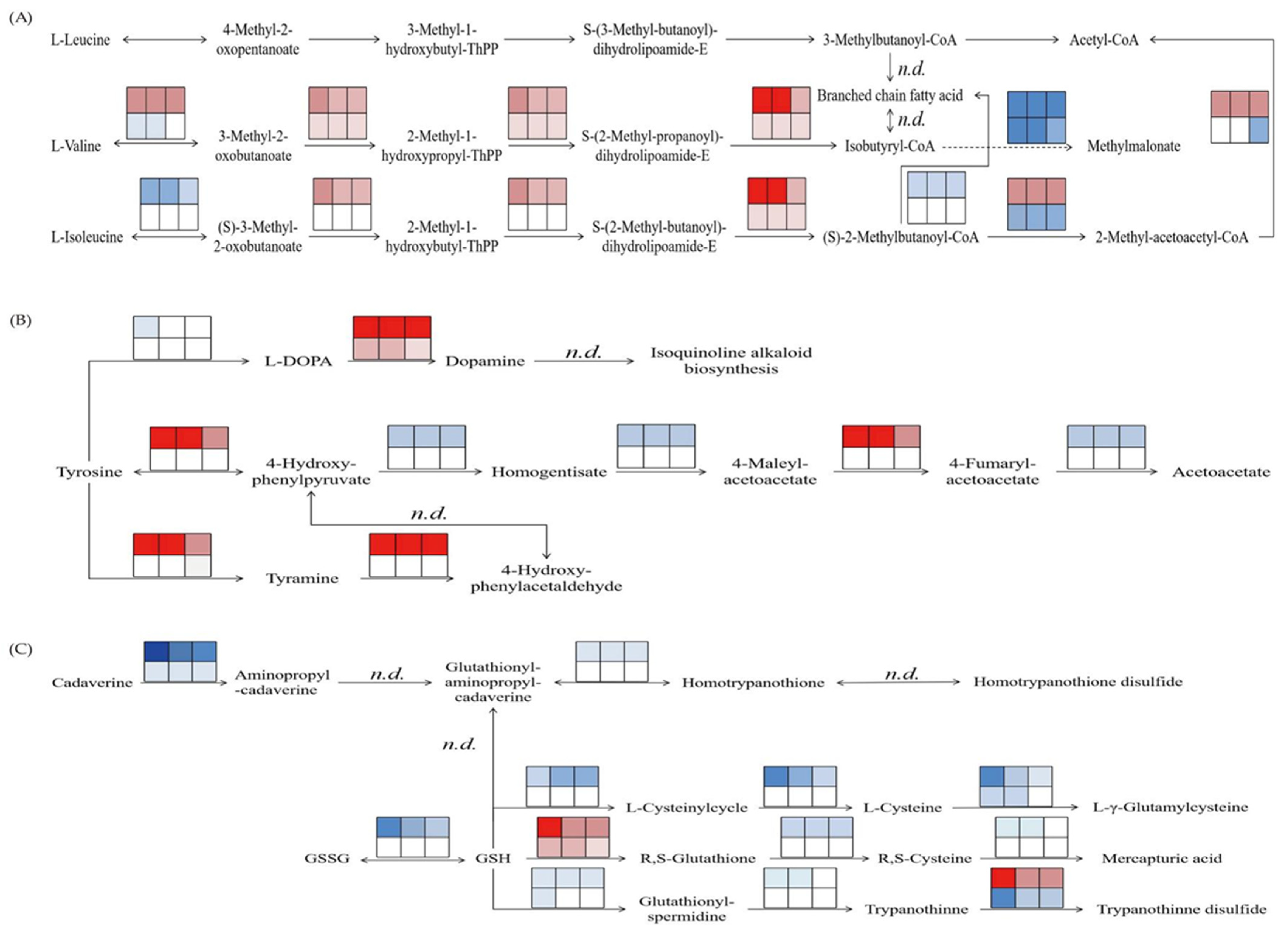 Plants 14 00929 g003