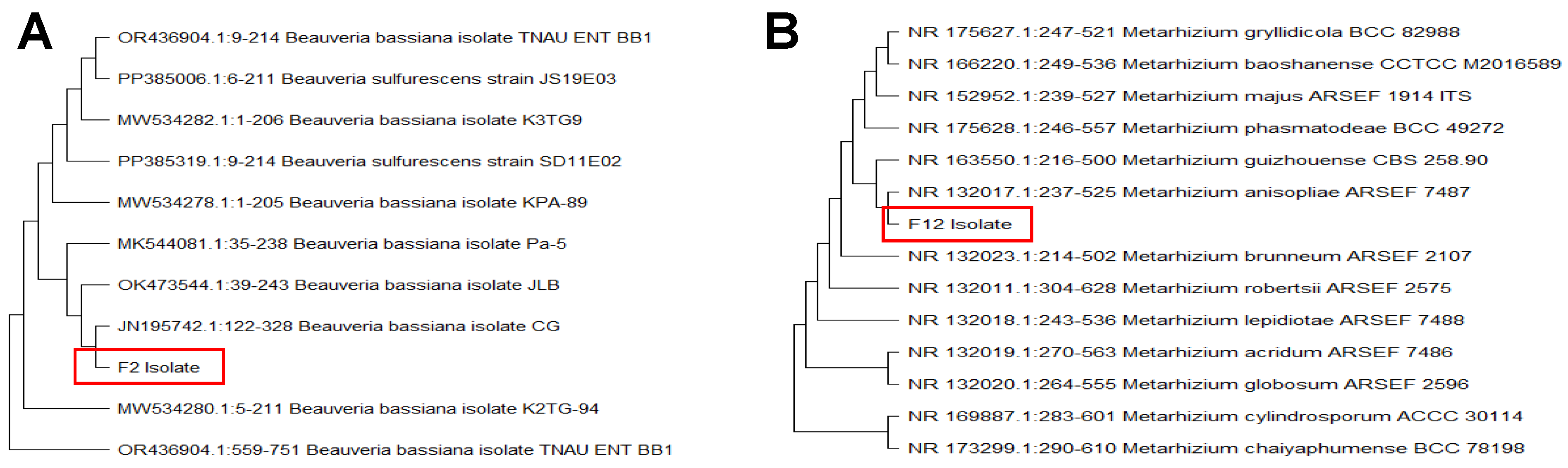 Plants 14 00931 g001