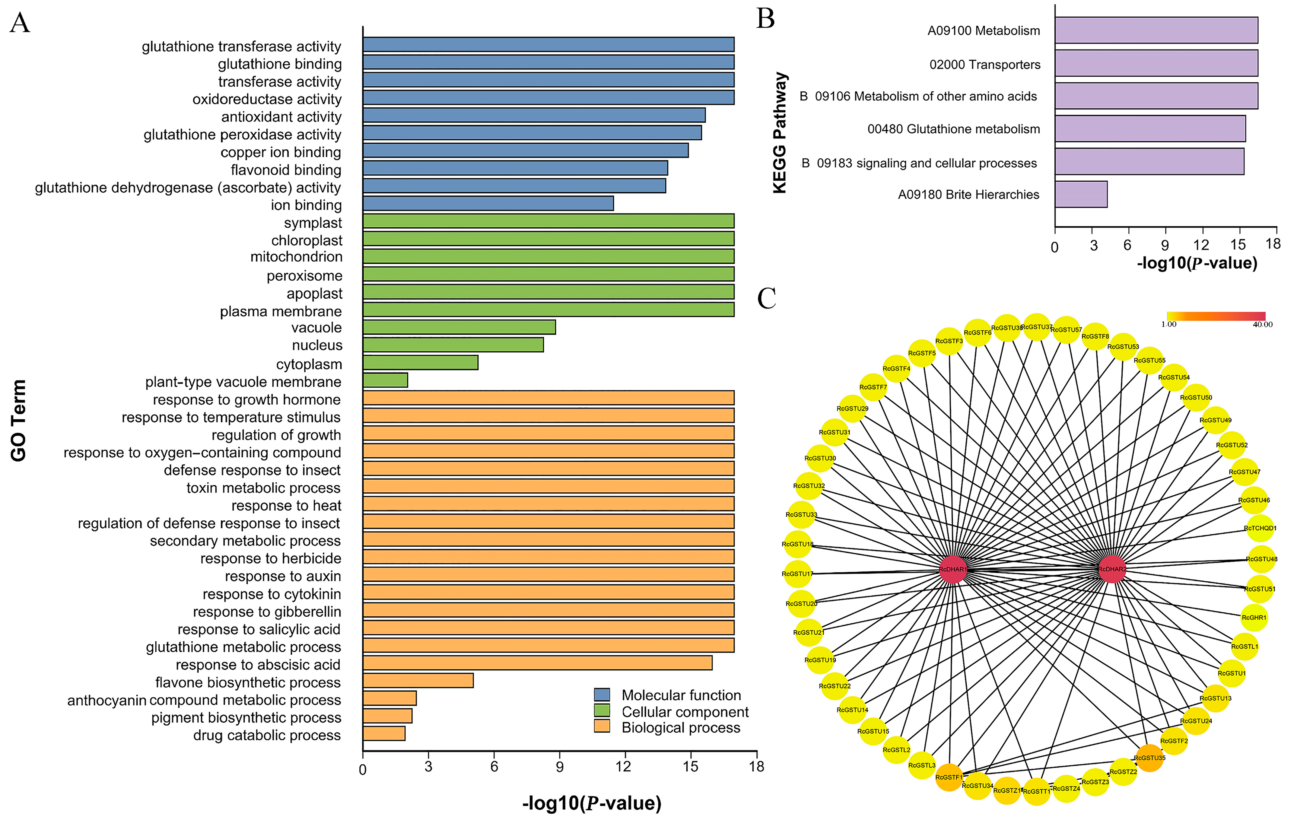 Plants 14 00932 g004 Plants 14 00932 g004