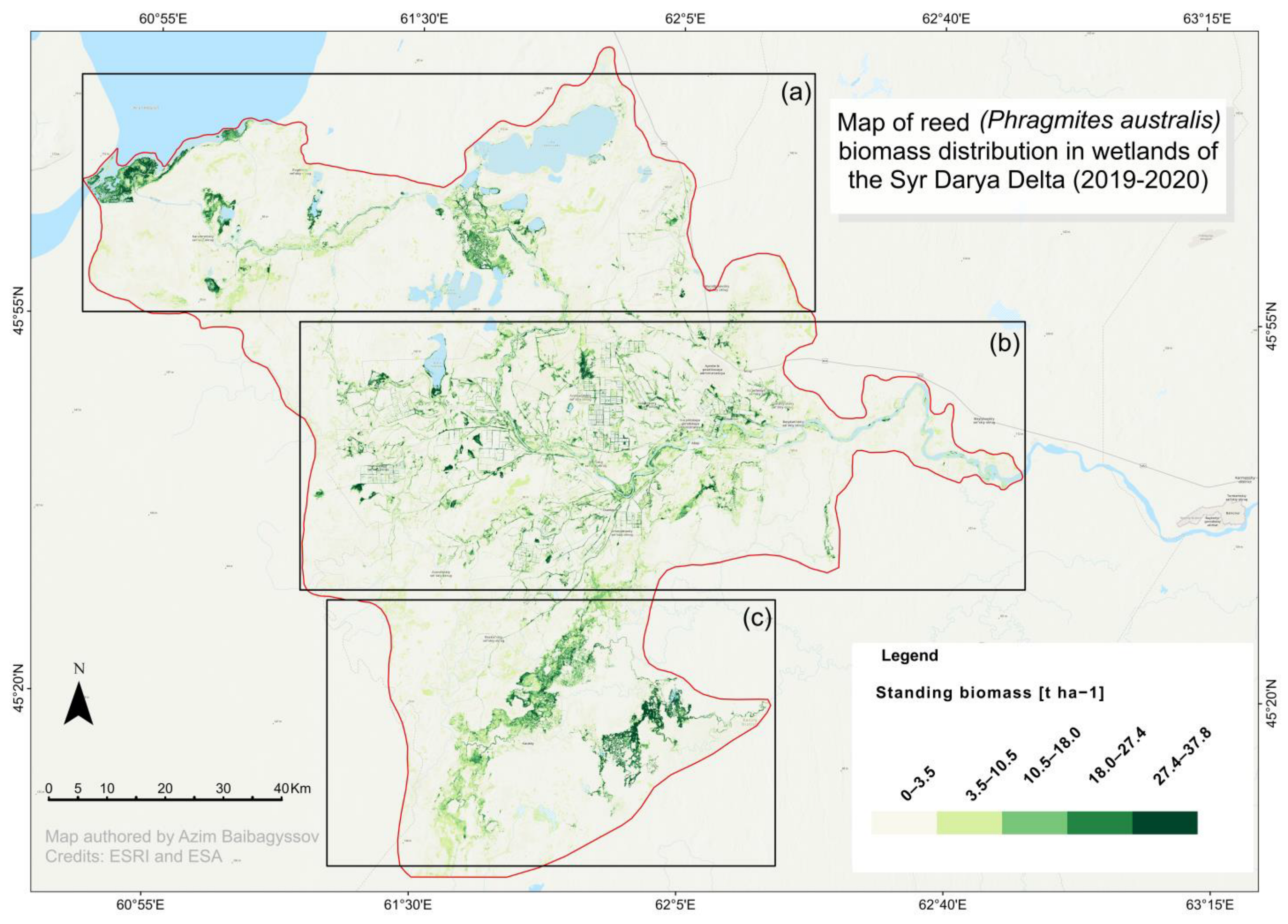 Plants 14 00933 g003
