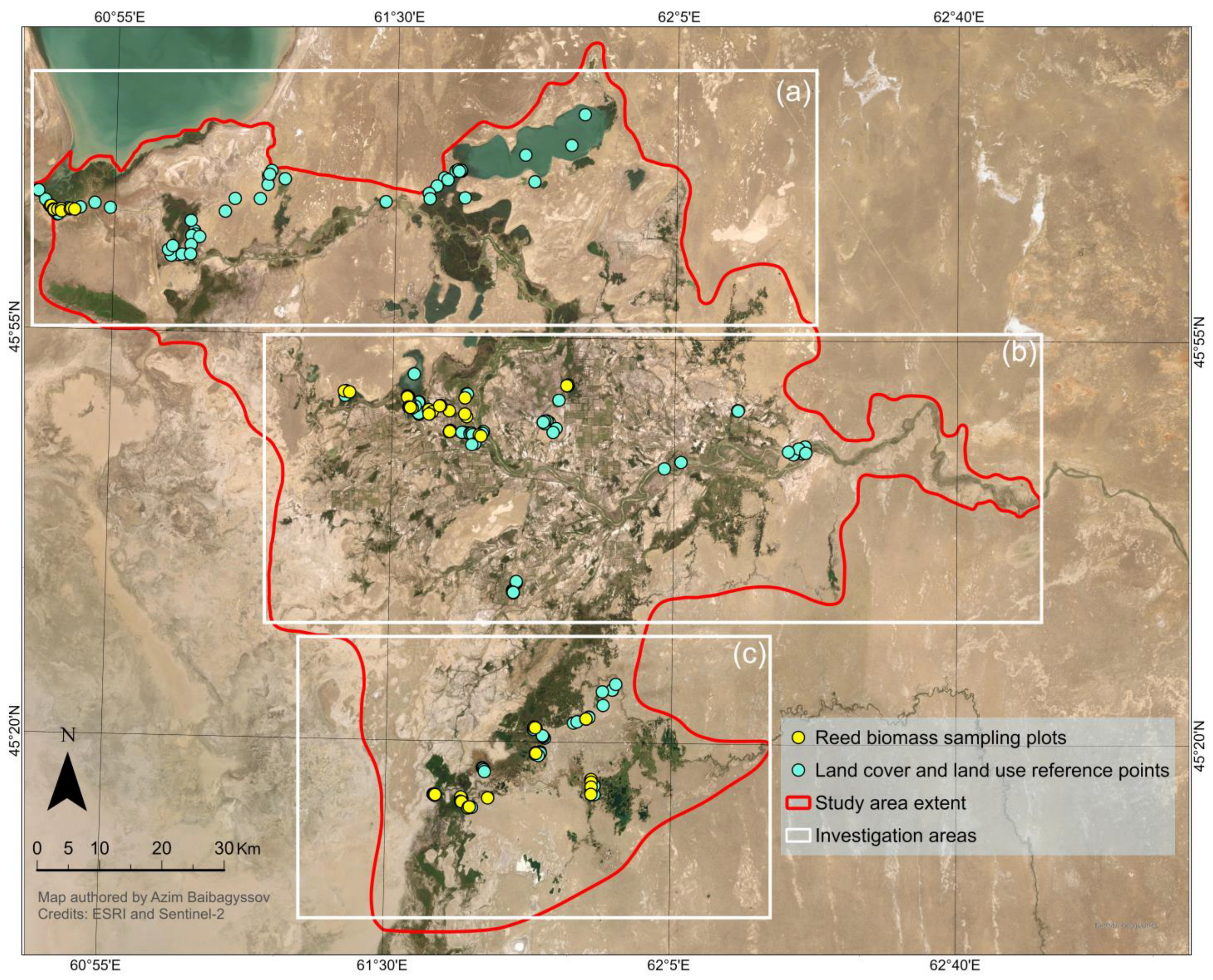 Plants 14 00933 g005