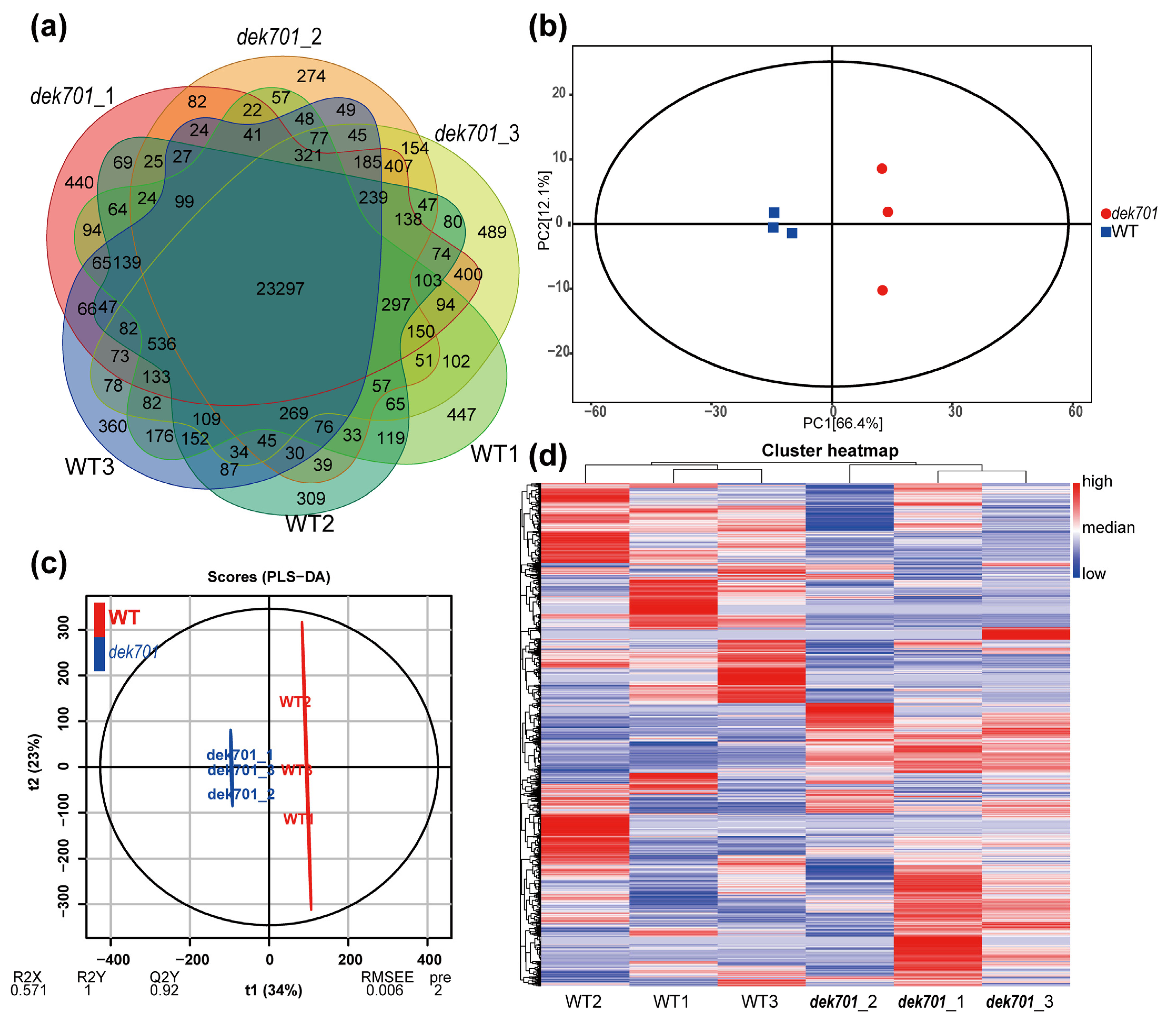 Plants 14 00941 g002